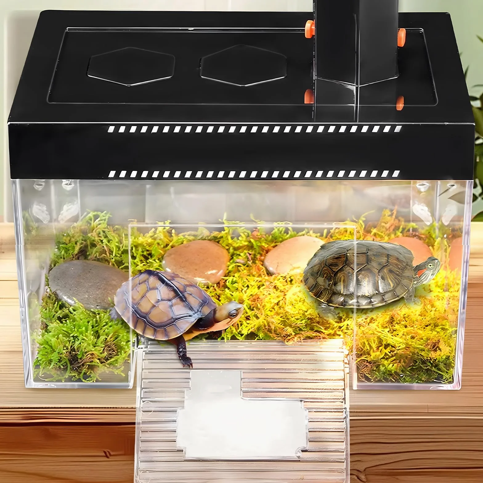 Tartaruga Piattaforma Regolabile Altezza Hanging Topper Habitat con Coperchio e Rampa, 25 × 16 × 16 cm PC Trasparente Piccolo Sopra il Serbatoio Recinzione Acquario per Baby Land Turtles Red Ear