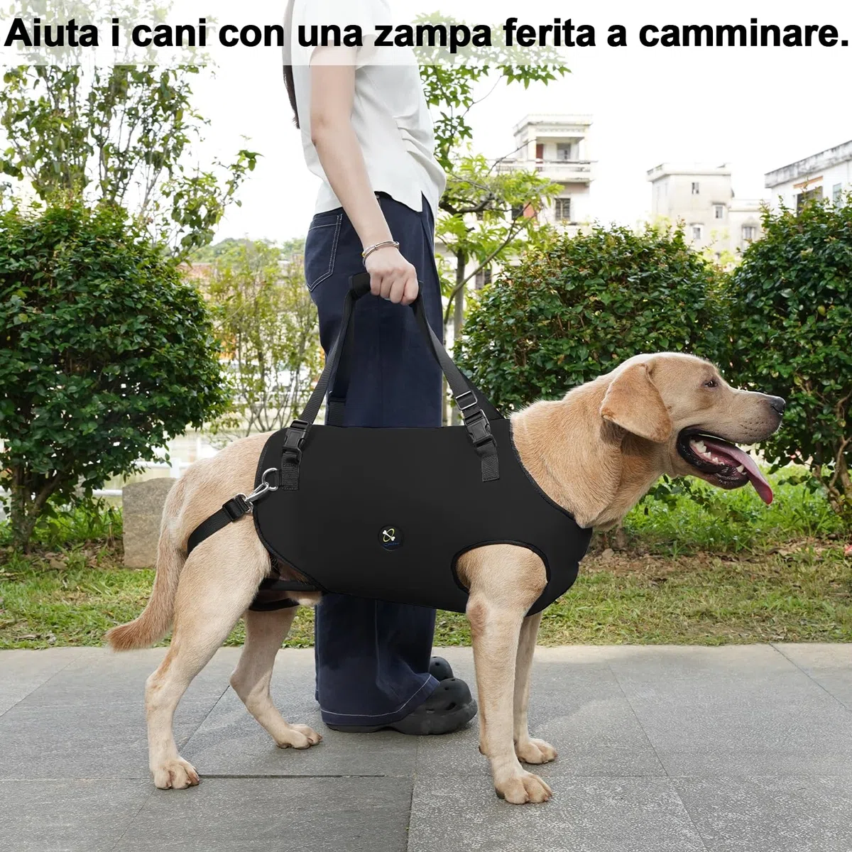 Coodeo Imbracatura per Cani, Sling di Supporto e Riabilitazione Regolabile con Cinghie Padded e Traspiranti per Cani Anziani, Disabili e con Infortuni Articolari. (Nero, XL)