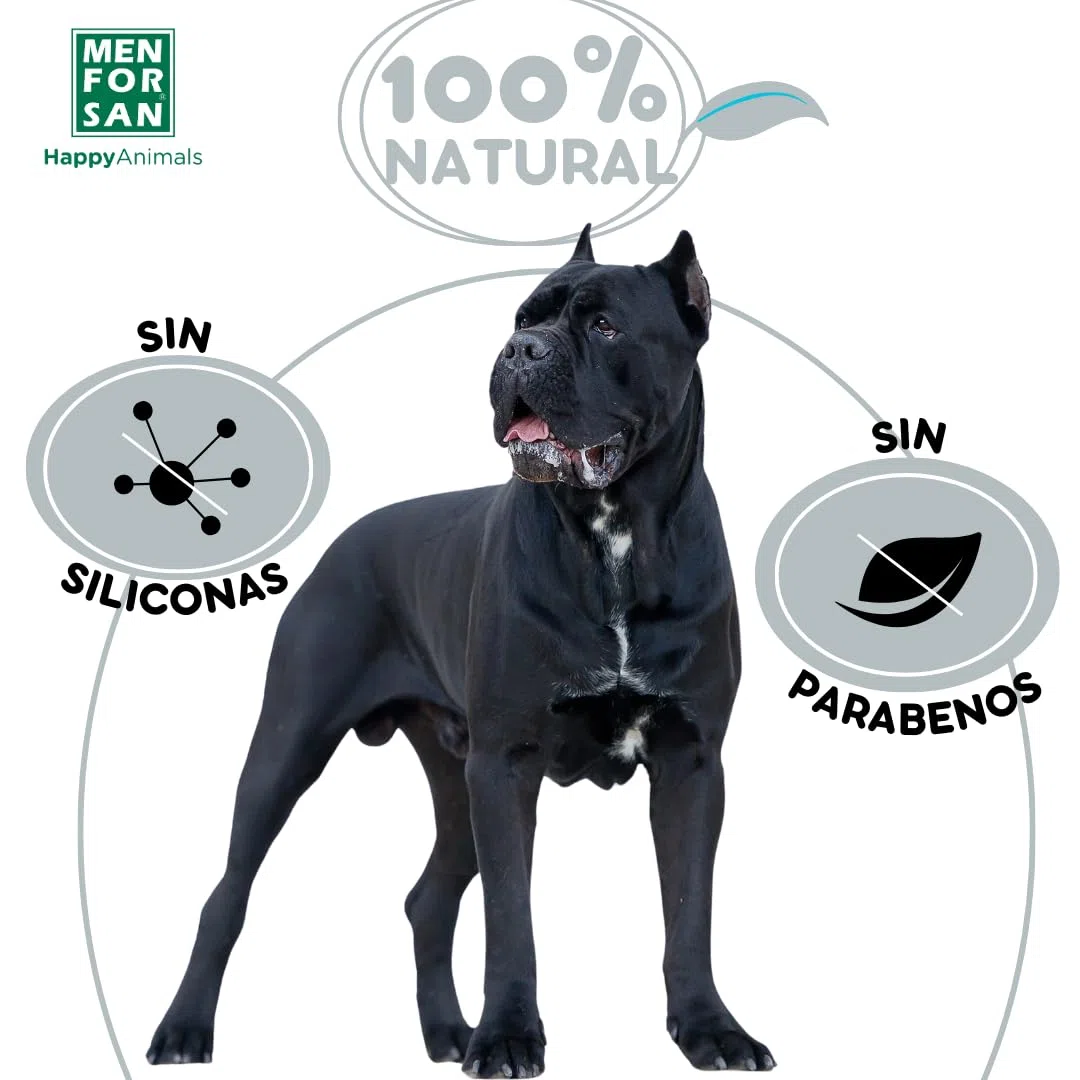 Shampooing Men for San Chien Cheveux Foncé Fruité (5 L)