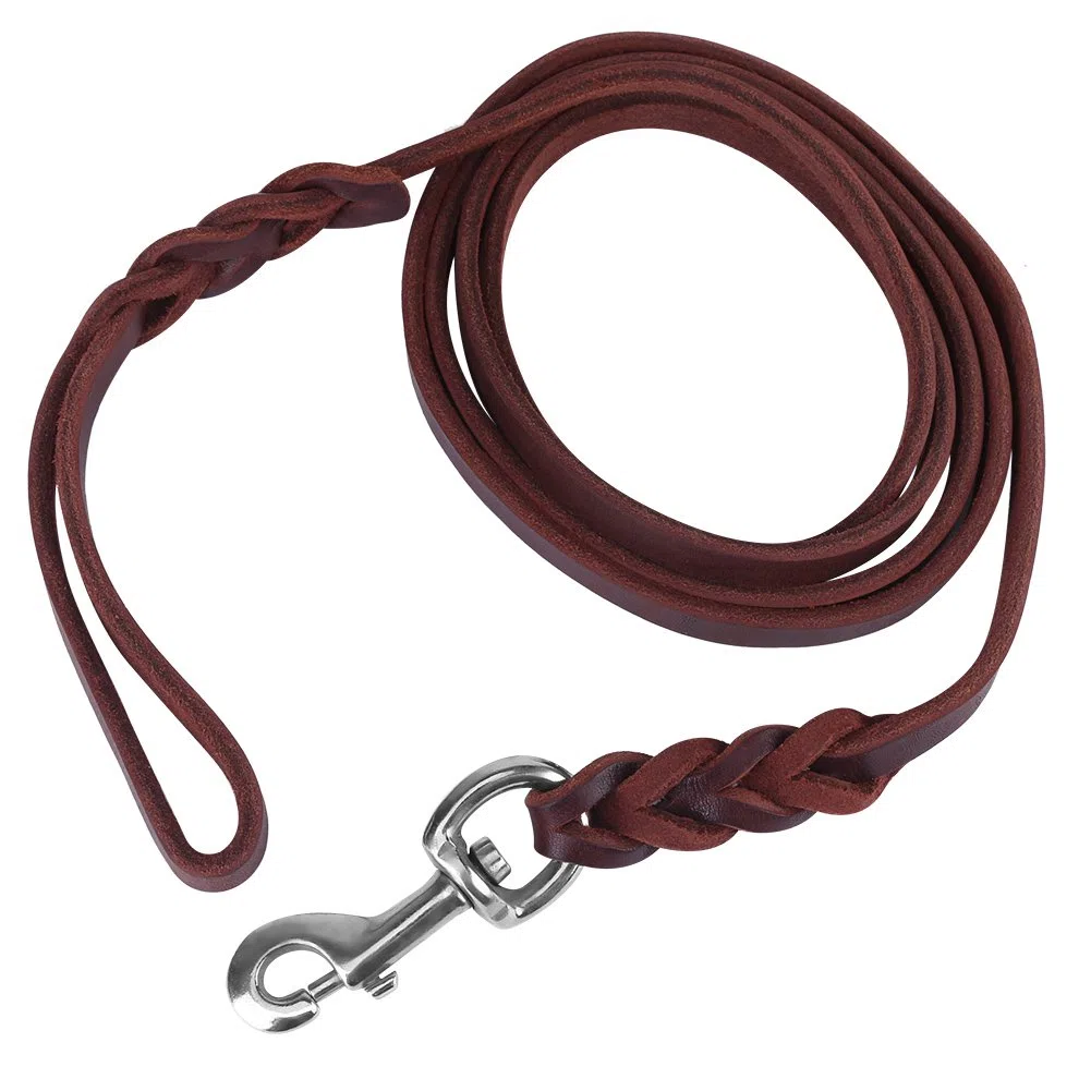 Guinzaglio per cani in pelle, cinturino in pelle con cinturino in corda di sicurezza per cani da compagnia(2.1m)