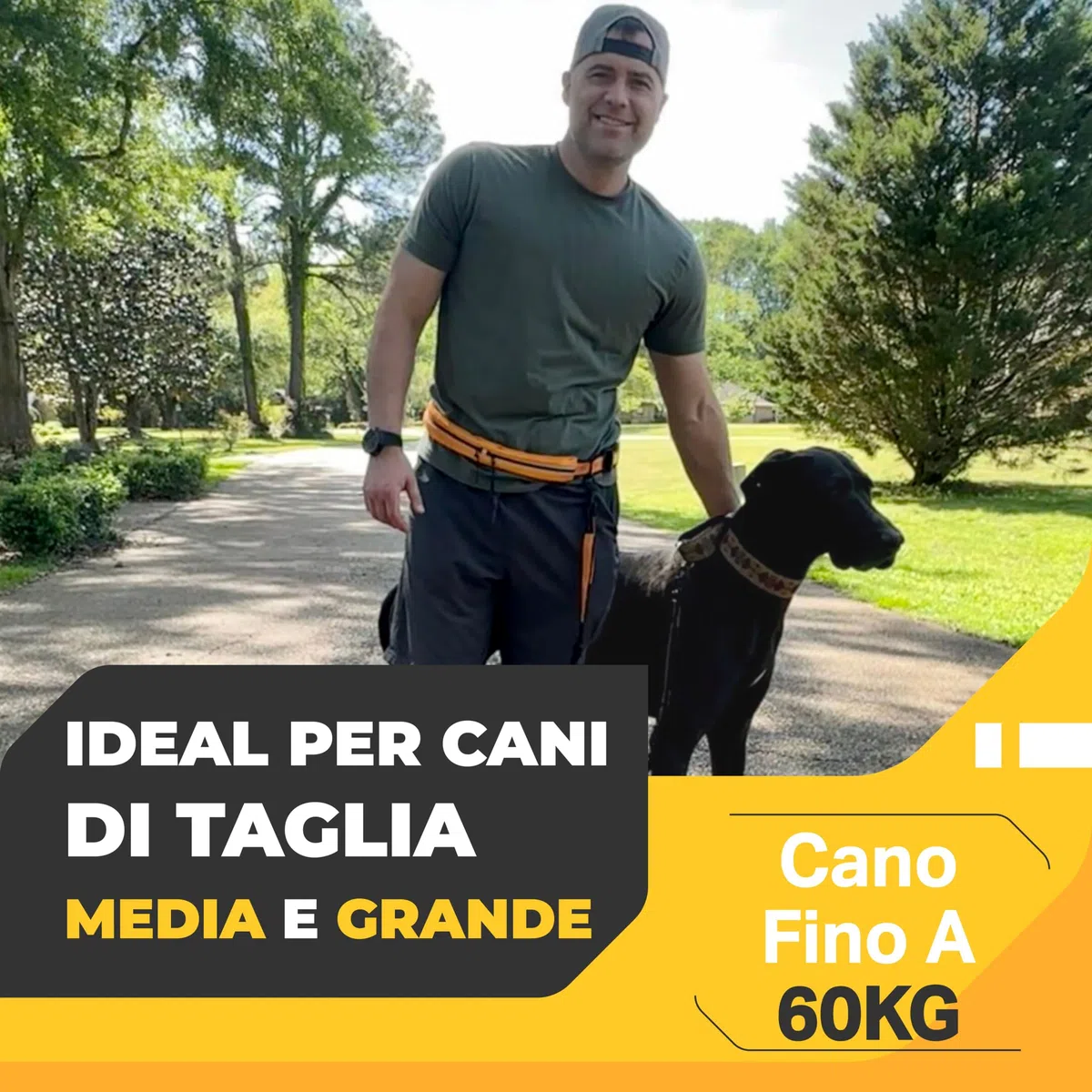 Guinzaglio Mani Libere per Cani - Da Corsa, Cintura Dog Trekking/Jogging, Canicross Fino a 60 Kg