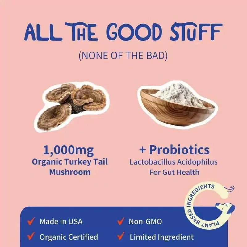 Funghi coda di tacchino - Funghi per grumi, protuberanze e verruche, puliscono il tratto urinario e forniscono energia e supporto vitale ai cani