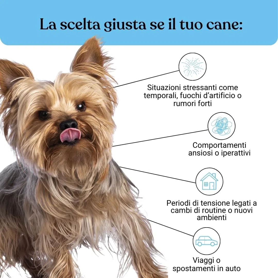 Bau Integratore Calmante per Cani, Valeriana per Cani Tranquillante, Rilassante per Cani Appetibili con Ingredienti Naturali, Ideale per Temporali, Viaggi e Ansia da Separazione -60cp