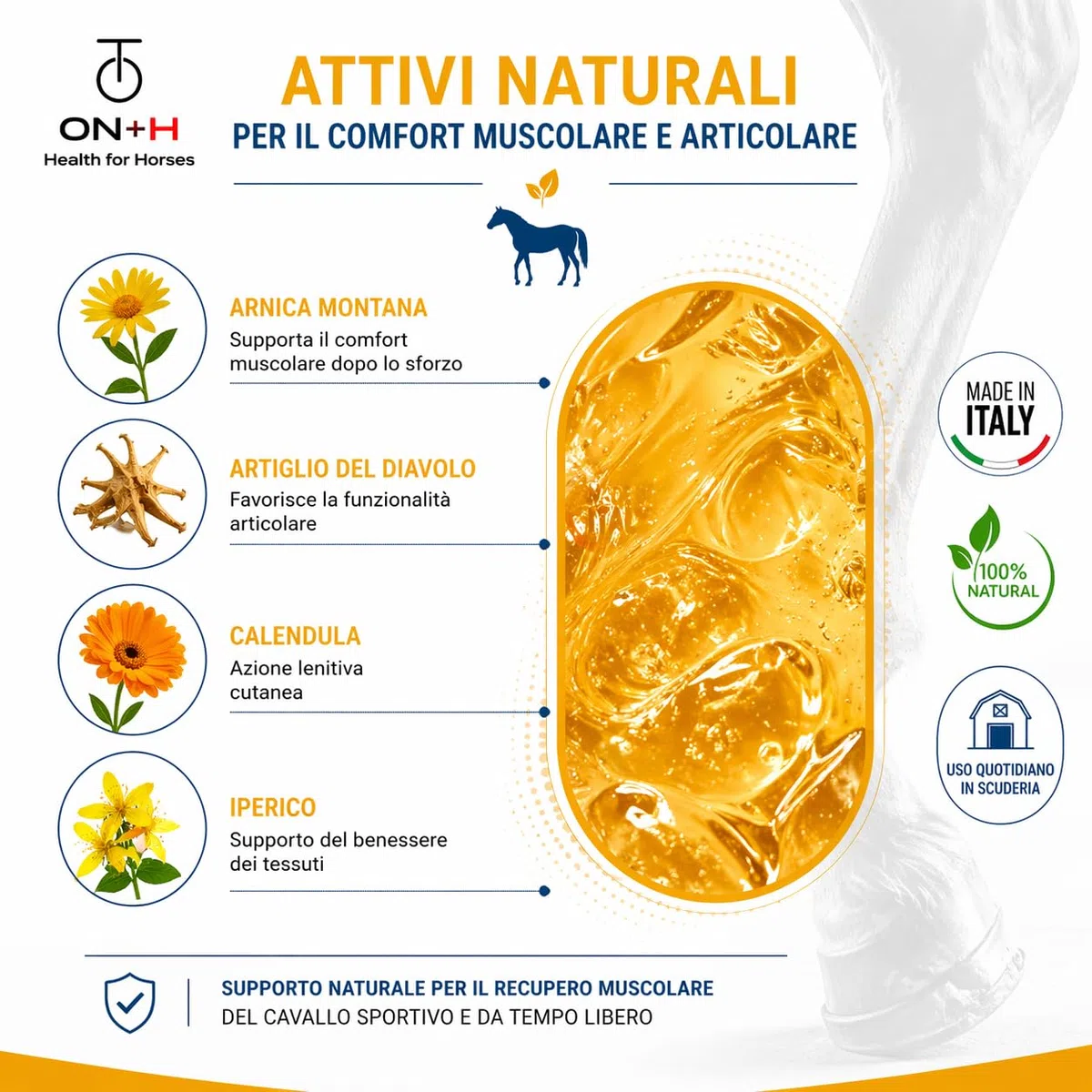 ON-H Crio Gel per Cavalli 200 ml | Gel Defaticante per Tendini e Legamenti | Effetto Rinfrescante dopo Allenamento e Gara | Supporto Recupero Muscolare Cavallo Sportivo | uso Quotidiano