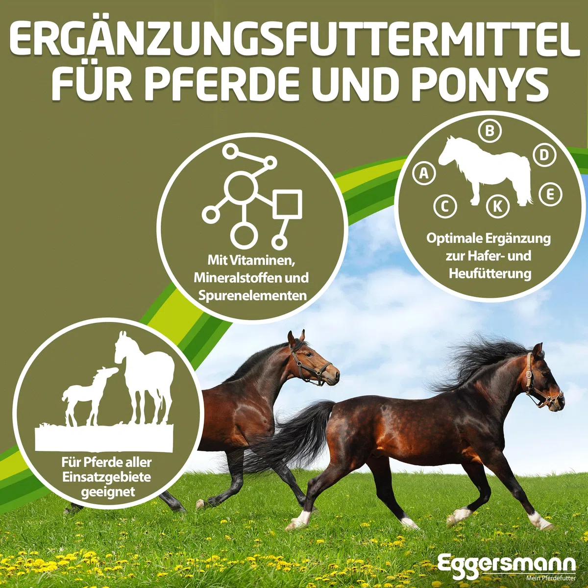 Eggersmann Mein Pferdefutter Combi Pellets 10 mm 25 kg – Mangime misto pelletizzato per cavalli e pony – Complemento ideale per l'alimentazione di avena e fieno – cibo per cavalli riduce le proteine e
