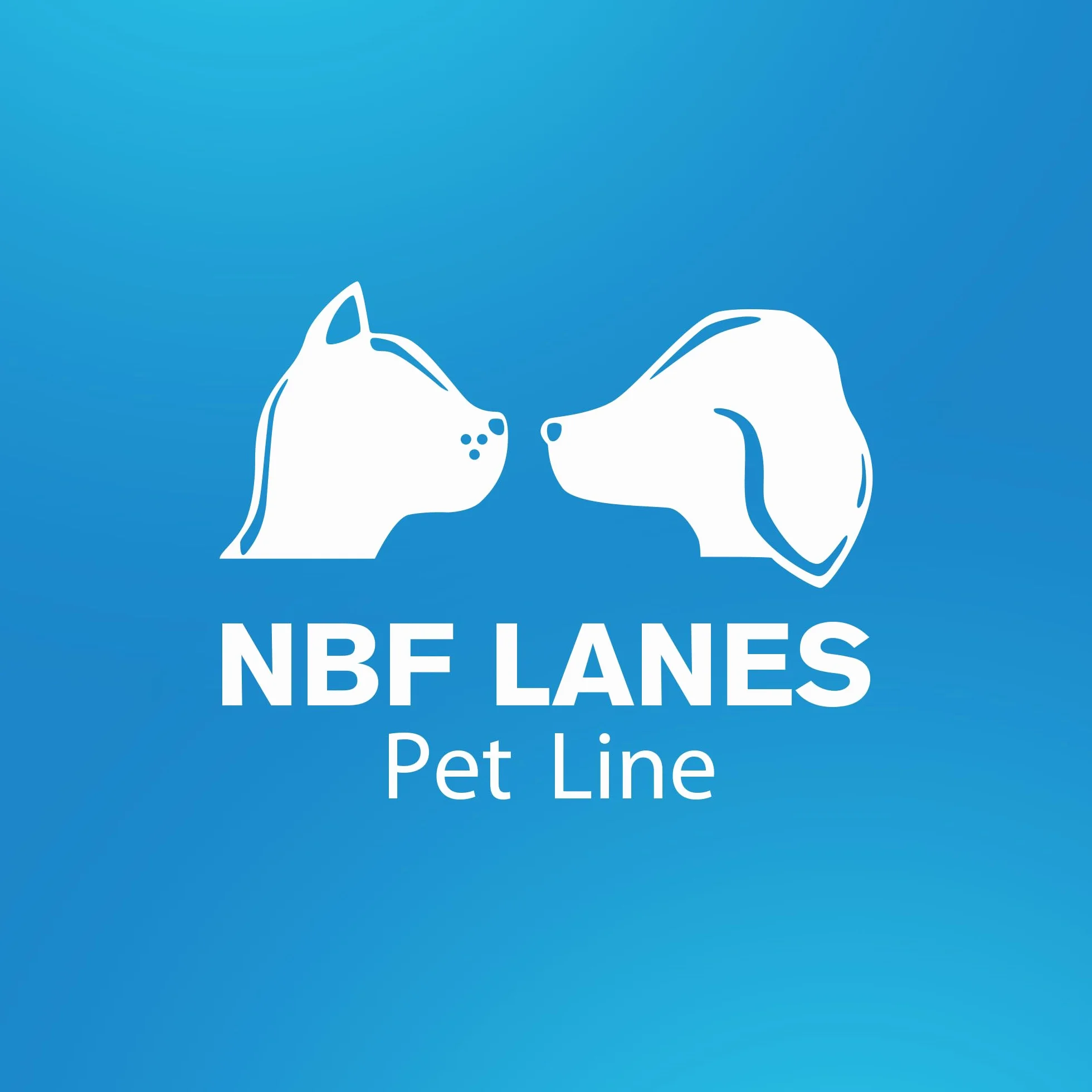NBF Lanes | Ciellea Pet Recovery Cane e Gatto, 60 Perle Appetibili, per il Normale Equilibrio del Peso Corporeo