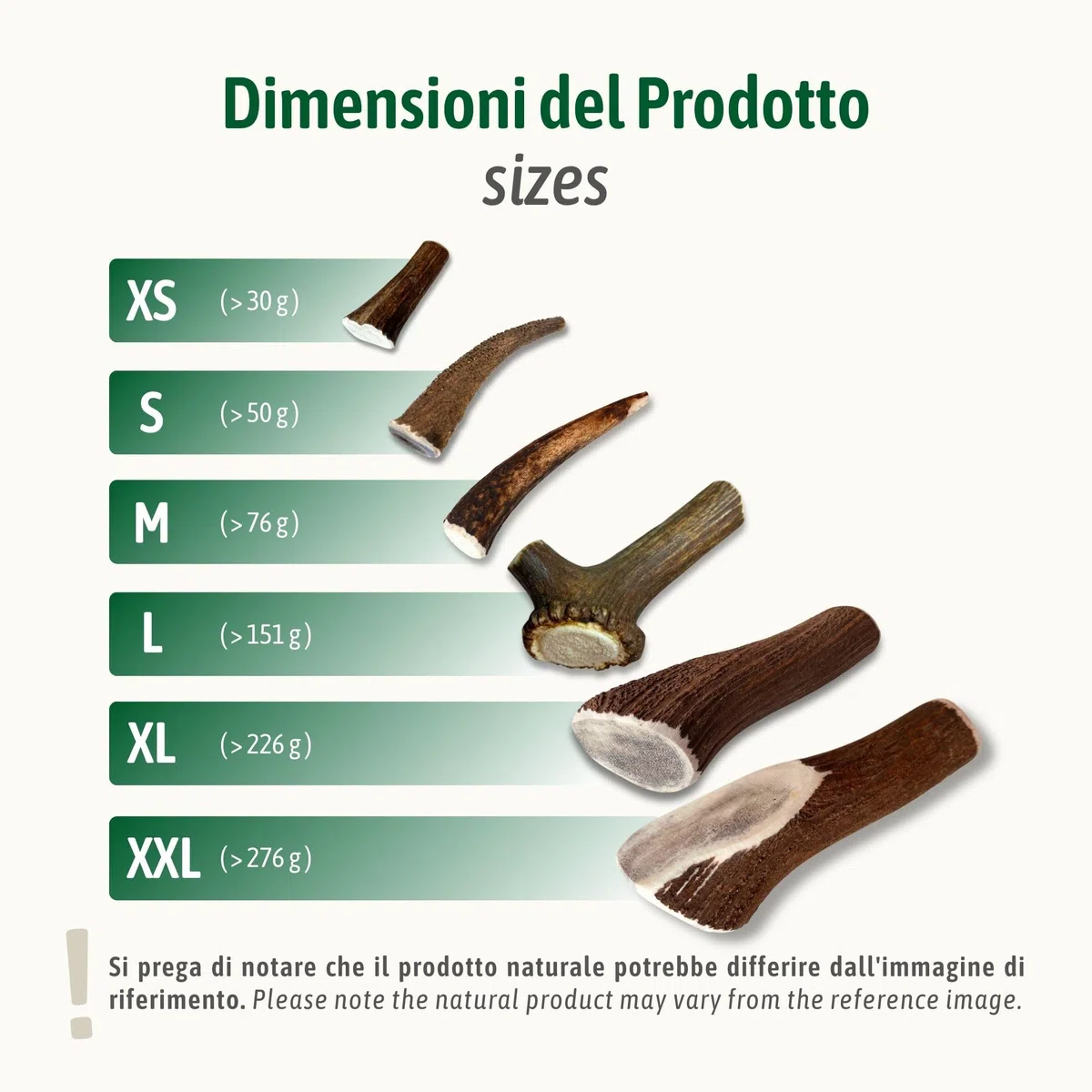ChronoBalance-XXL Corno di Cervo per Cani, Confezione da 1, 100% Naturale, Pezzi Interi, Cura Dentale, Giocattolo per Cani, Ricco di Minerali e Nutrienti, Lunga Durata
