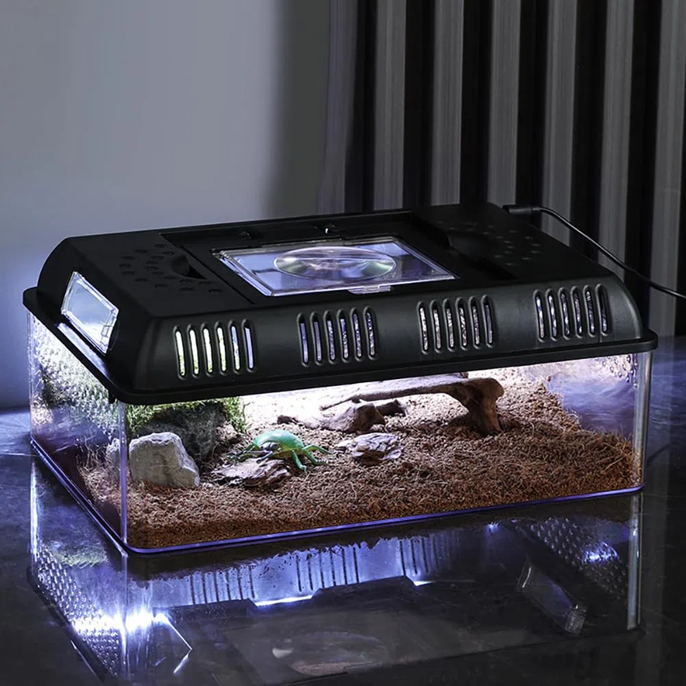 Terrario per Rettili Design Luce Incorporata - Scatola di Alimentazione Portatile Rettile 31,5 x 22 x 12,5 cm - Teca per Rettili - Contenitore Multiuso per Rettili, Anfibi, Topi e Insetti