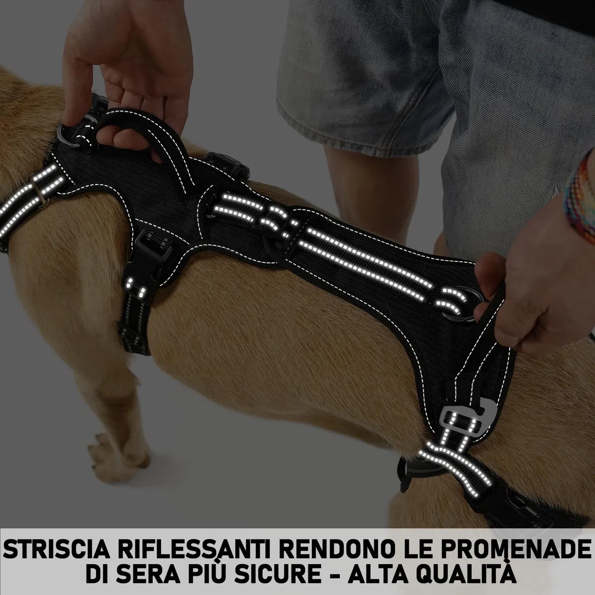 COODEO Imbracatura per Cani, Supporto e Fodera per Passeggio, Gilet di Riabilitazione per Zampe Posteriori, Trasportino per Cani Anziani con Infortuni e Artrite, Aiuto per Salire le Scale. (Nero, XL)