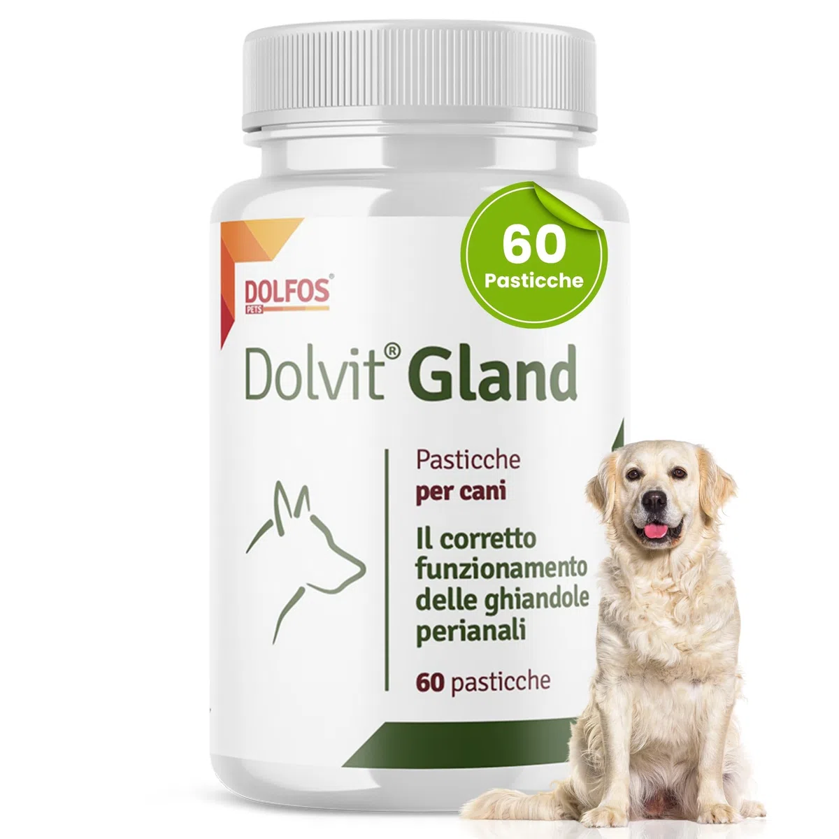 Dolvit Gland Integratore per Ghiandole Perianali Cane, 60 Compresse per Svuotamento Ghiandole Anali, Supporto Digestivo, Formazione Feci Corretta, Integratori per Cani Media e Grossa Taglia
