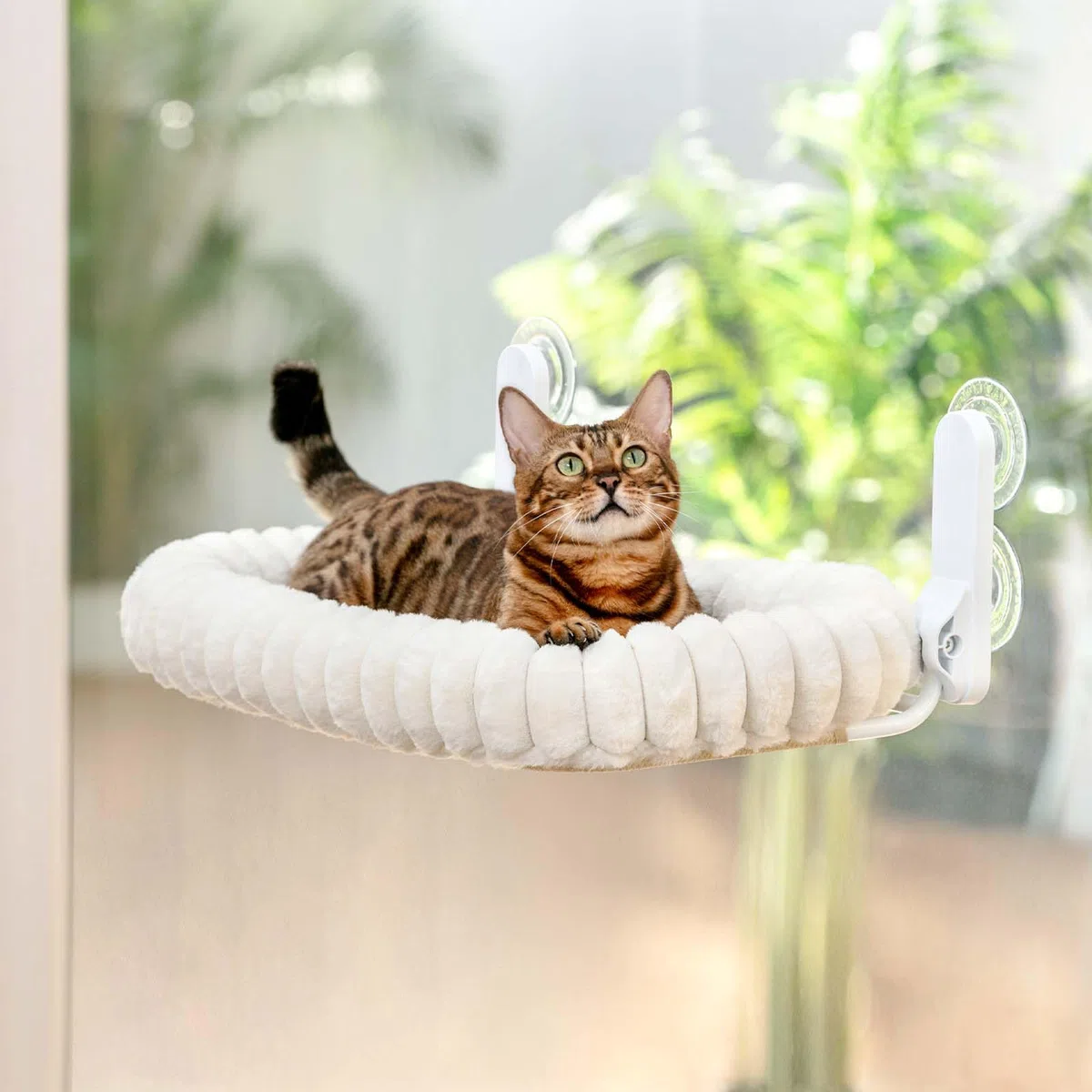 GUUSII HOME Amaca per Gatti da Finestra Pieghevole Amaca Cuccia Gatto Grande Interno Letto per Gattini Sospeso con Ventosa Forte Lavabile in Lavatrice Facile da Montare 54 * 30cm (Bianco, M)