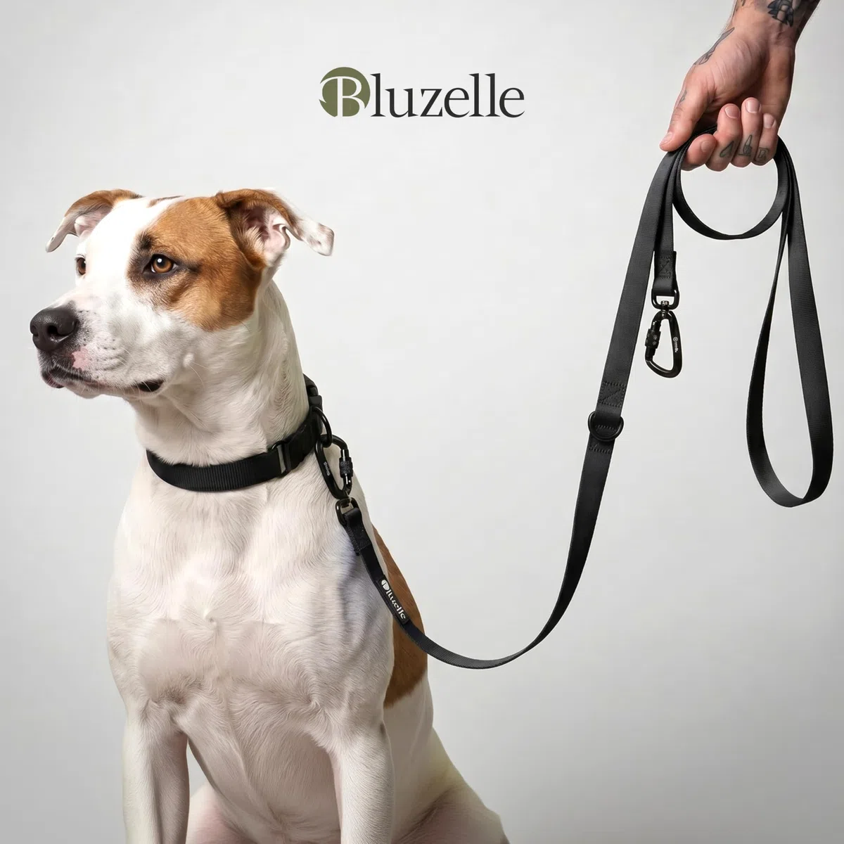 Guinzaglio Cane Impermeabile Forte 3m per Cani Piccoli e Grandi (10-100kg) – Tracolla Regolabile – WEATHERGUARD – 2x Moschettoni di Sicurezza – Marchio Tedesco, Colore:Nero