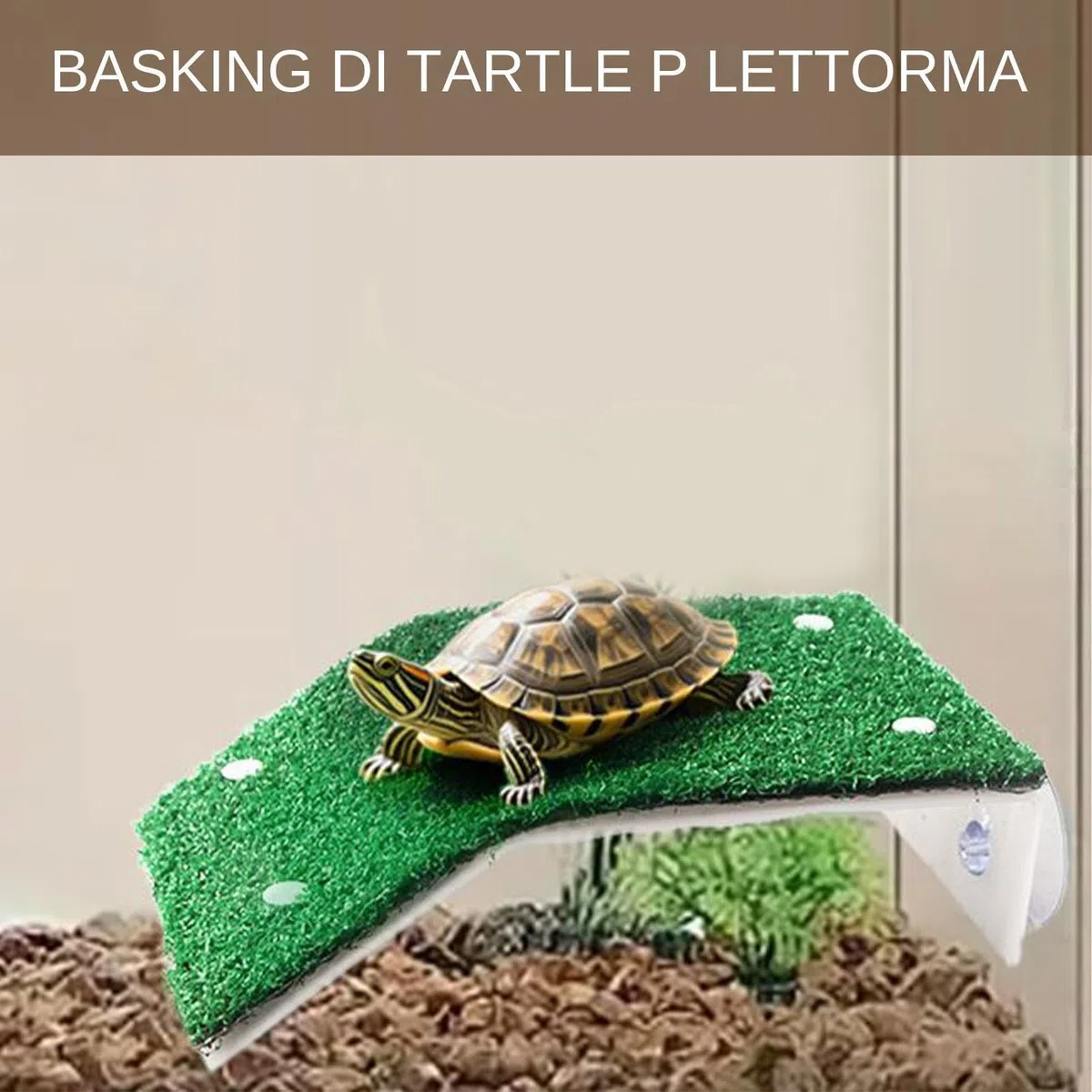 Molo per basking delle tartarughe - Piattaforma di riposo per acquario, simulazione di habitat terrestre per, terrazza solarium per rettili antiscivolo | Granchi Terrapin Rana Salamandra
