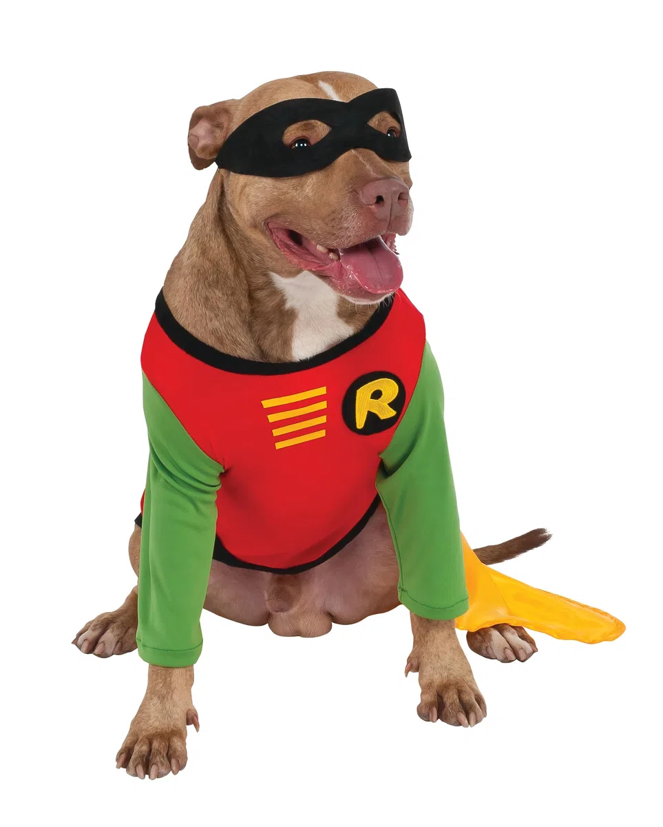 Rubie's Costume ufficiale da donna Rubie s DC Comic Robin Teen Titans Pet Dog Costume Super Hero Taglia L, come da mostrare, L UK