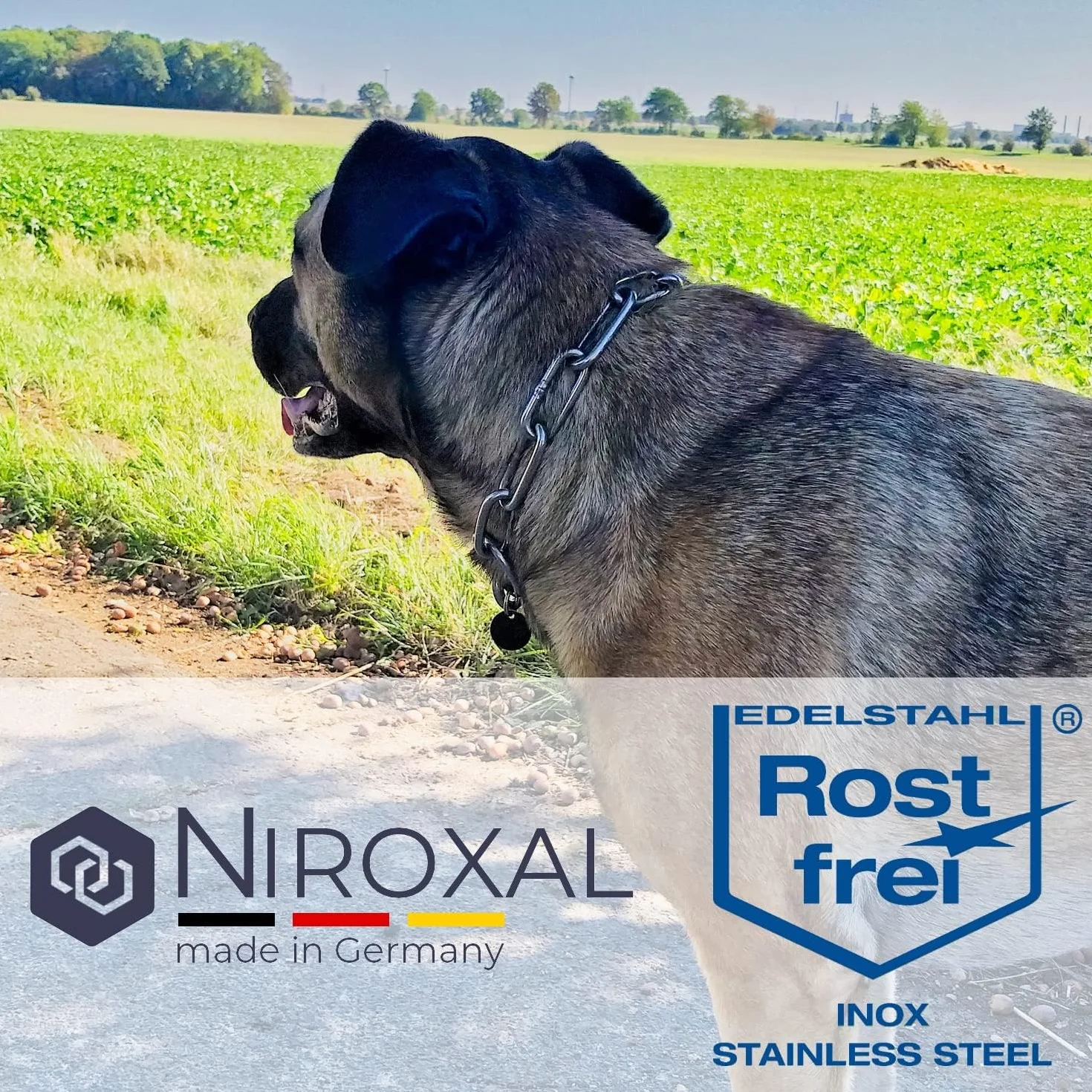 Collare addestramento cane acciaio inox V4A Ø4 mm – lunghezza 60 cm (lunghezza totale) – per circonferenza testa 46–51 cm – catena maglie corte con arresto di trazione