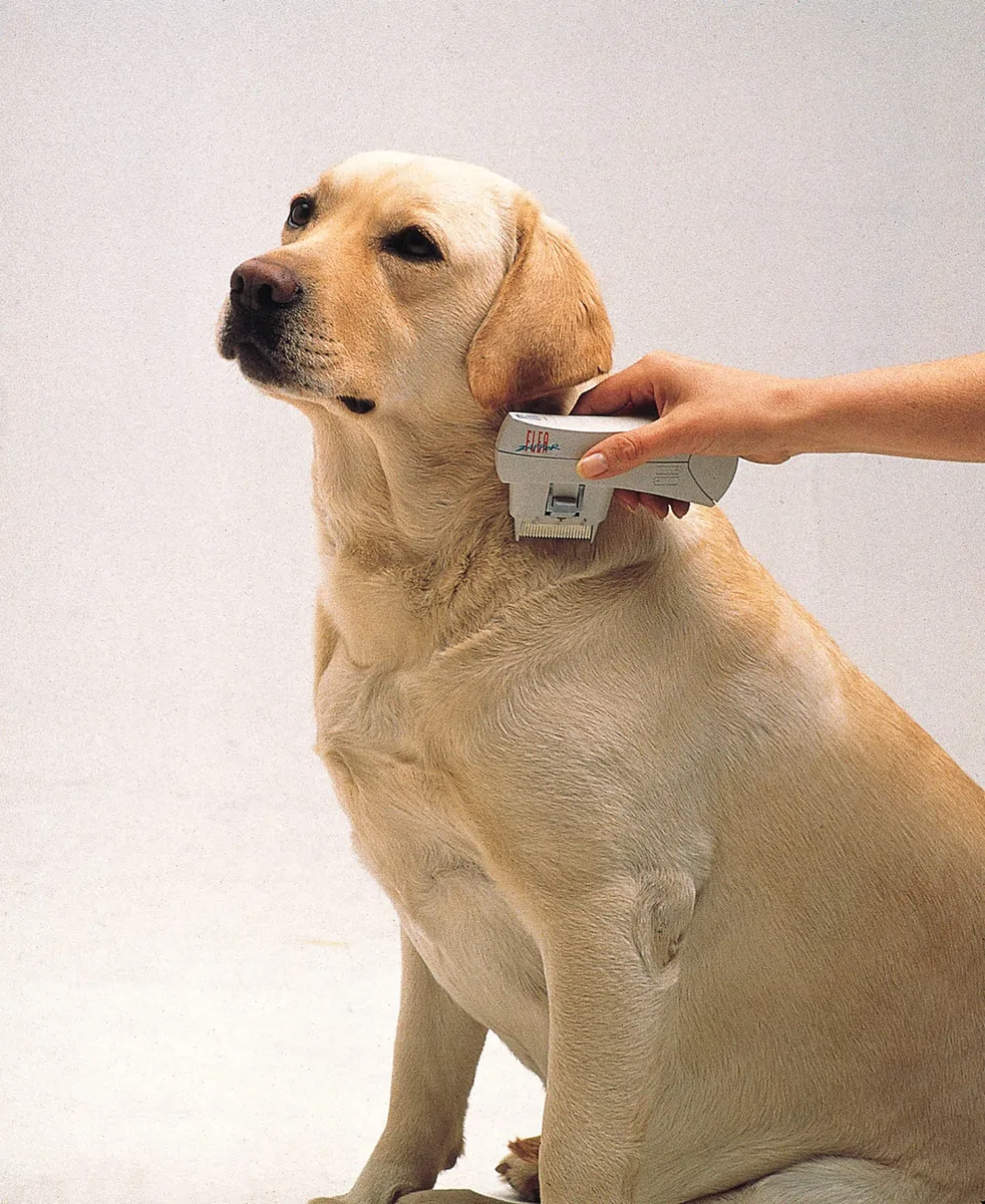 Pettine elettronico antipulci Epilady – Antipulci elettrico sicuro per gatti, cani, animali domestici, rileva controlli, distrugge le pulci, non tossine o sostanze chimiche, pettine anti-lea