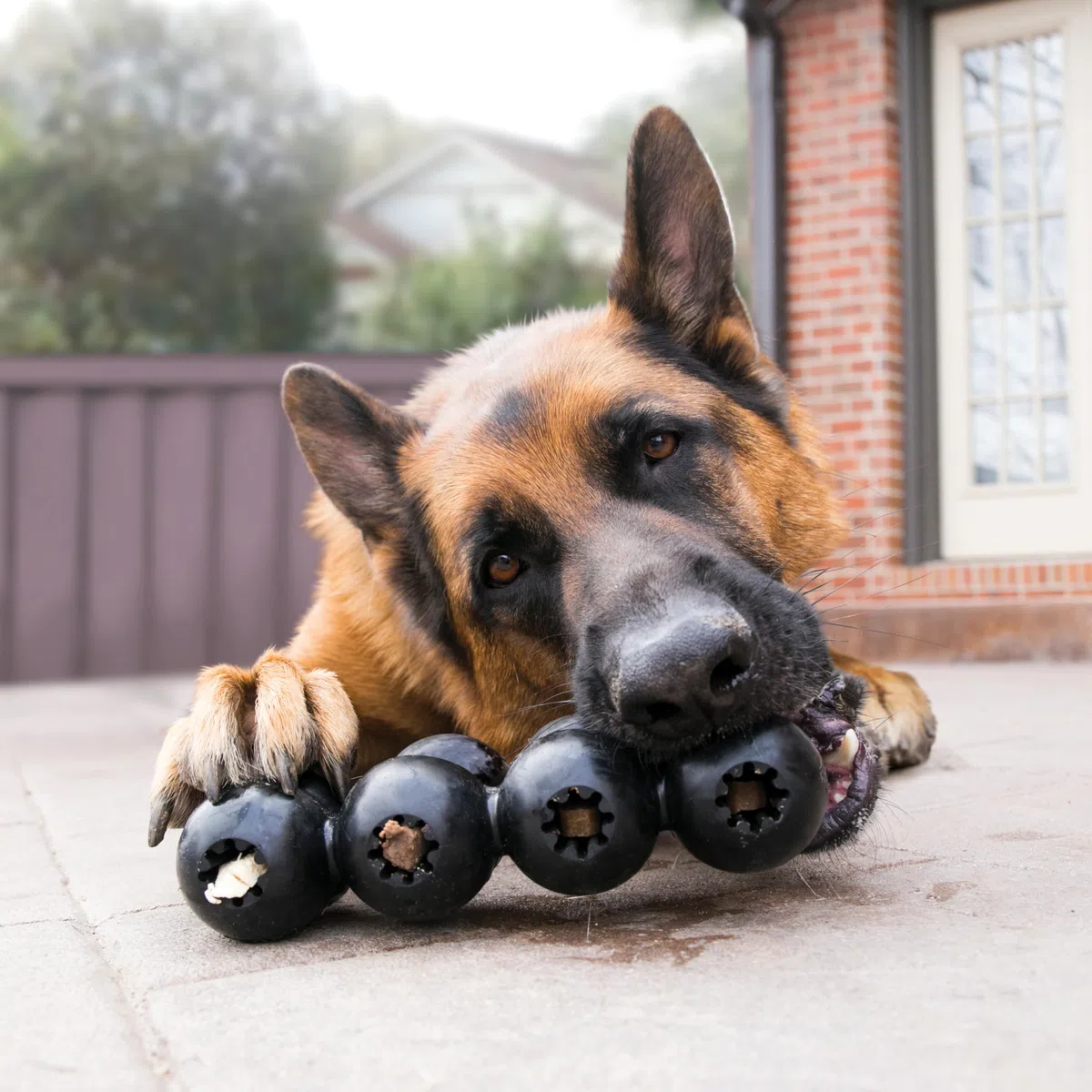 KONG Extreme Goodie Ribbon - Giocattolo Per Cani In Gomma Naturale Riempito - Per Cani Di Taglia Grande