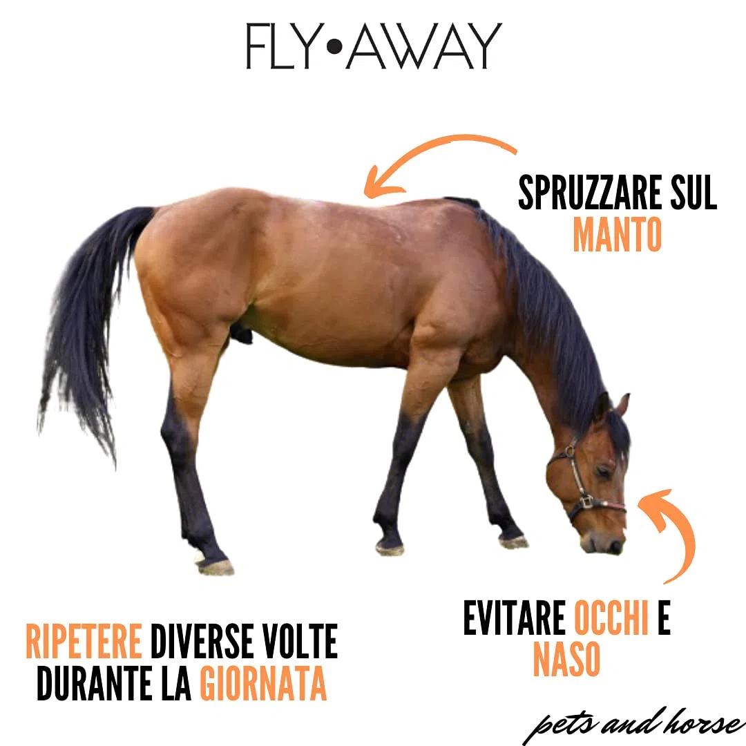 FLY AWAY Eurekavet Antiparassitario 100% Naturale per Cavalli con Olio di Neem - Efficacie Contro: Mosche, Tafani, Flebotomi, Zanzare, Pulci, Zecche, Acari - Formula Potenziata (Flacone da 1 litro)