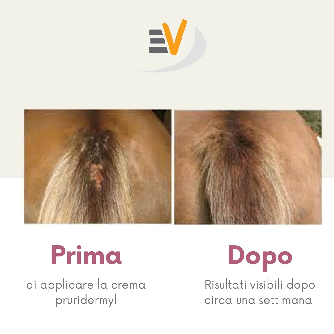 Pruridermyl Cavallo Crema contro Dermatite, Arrossamenti, Prurito, Irritazione - Trattamento per cavalli 100% naturale Flacone da 500 ml