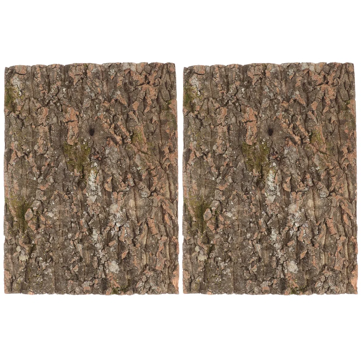 WOONEKY Sfondo Effetto Terrario Pezzi Naturale in per Rettili 2 Sughero Autentica Corteccia Compatibilità, per Habitat di Draghi Barbuti