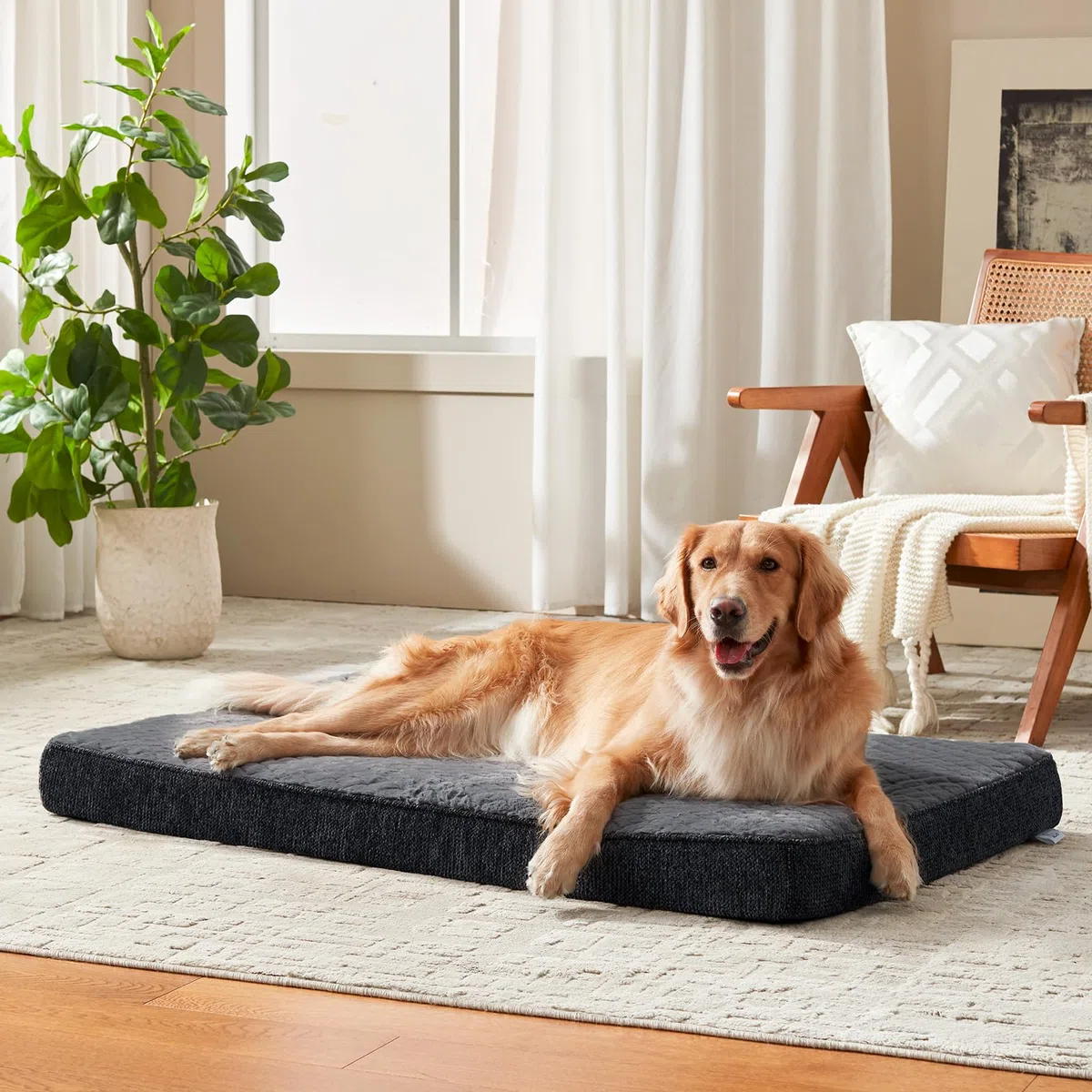 JOEJOY Cuccia Cane Interno Taglia Grande XL, Cuccia per Cani Ortopedico, Letto per Cani Impermeabile Sfoderabile e Lavabile, Cuscino Cane, Base Antiscivolo, Grigio, 104x69x9.5cm