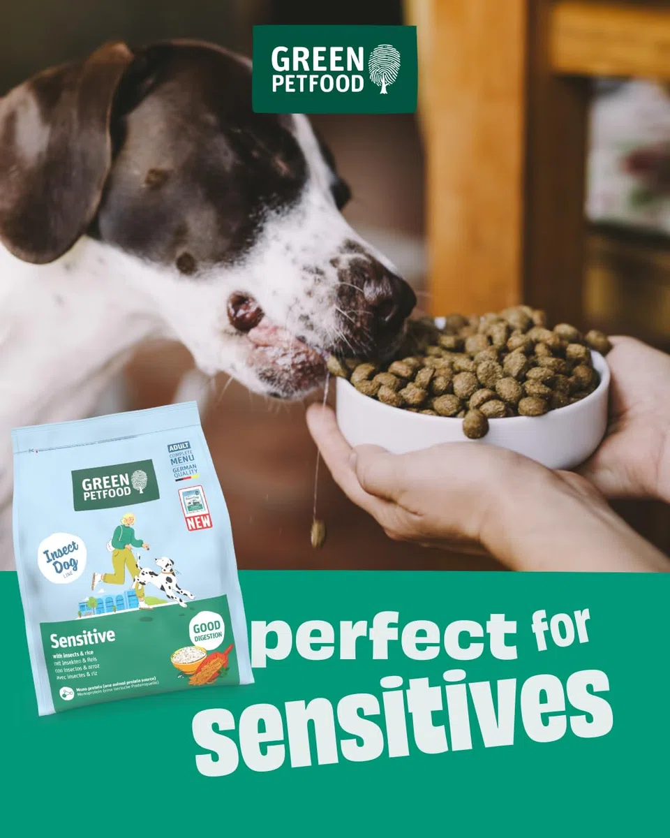 Green Petfood InsectDog Sensitive con insetti e riso (1 x 10 kg), per adulti, cibo secco di alta qualità per cani sensibili adulti, insetti come unica proteina animale, senza frumento, confezione da 1