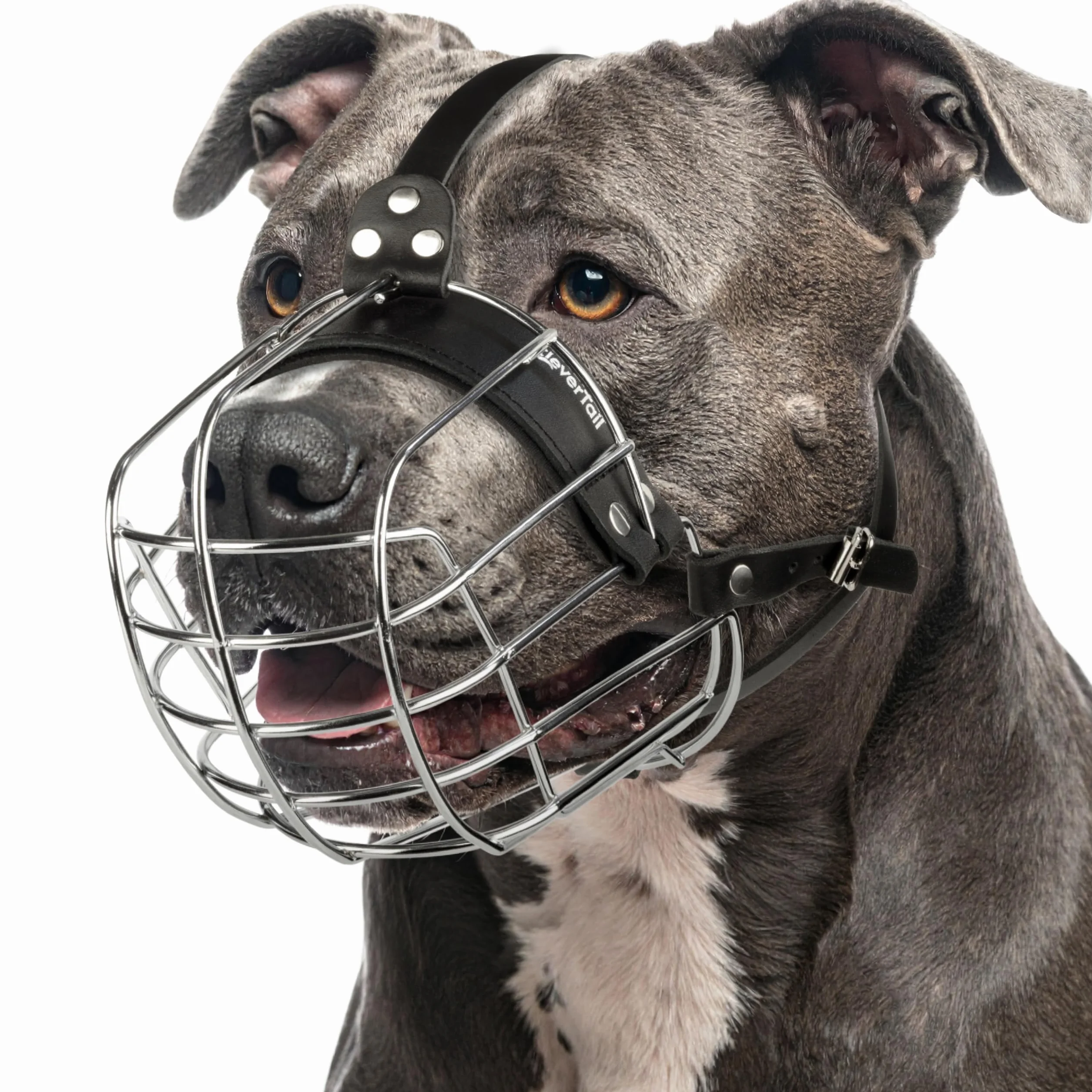 Museruola in metallo per Pitbull di taglia grande – Museruola a cesto per cani con cinghie in pelle regolabili – Museruole in gabbia d'acciaio per cani per prevenire il morso – Protezione