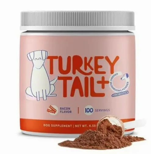 Funghi coda di tacchino - Funghi per grumi, protuberanze e verruche, puliscono il tratto urinario e forniscono energia e supporto vitale ai cani