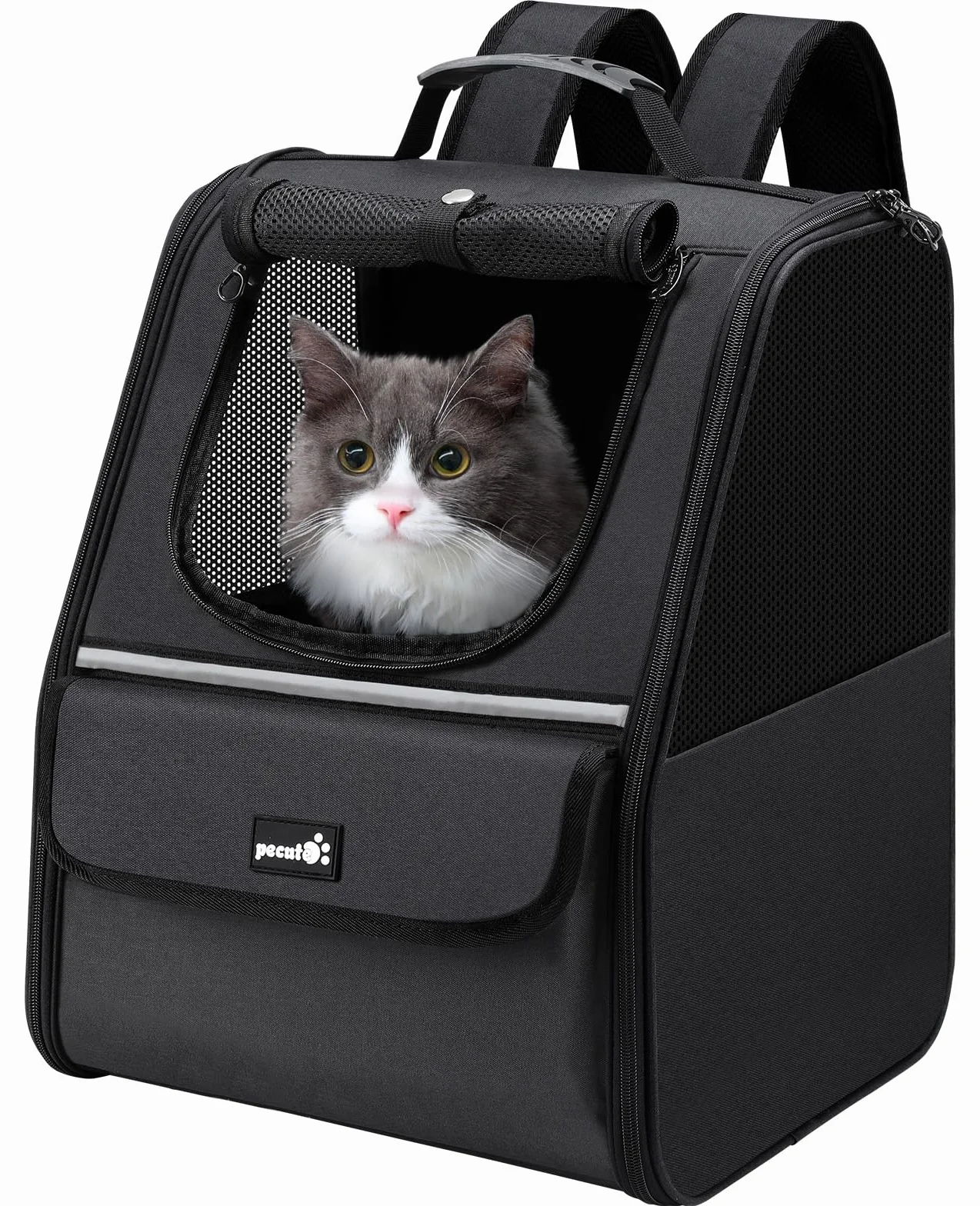 Pecute Zaino Trasportino per Gatti, Zaino Trasportino per Cani di Piccola Taglia, Borsa Trasportino per Gatti da Viaggio Escursionismo Bici Equitazione Passeggiate All'Aperto, Nero