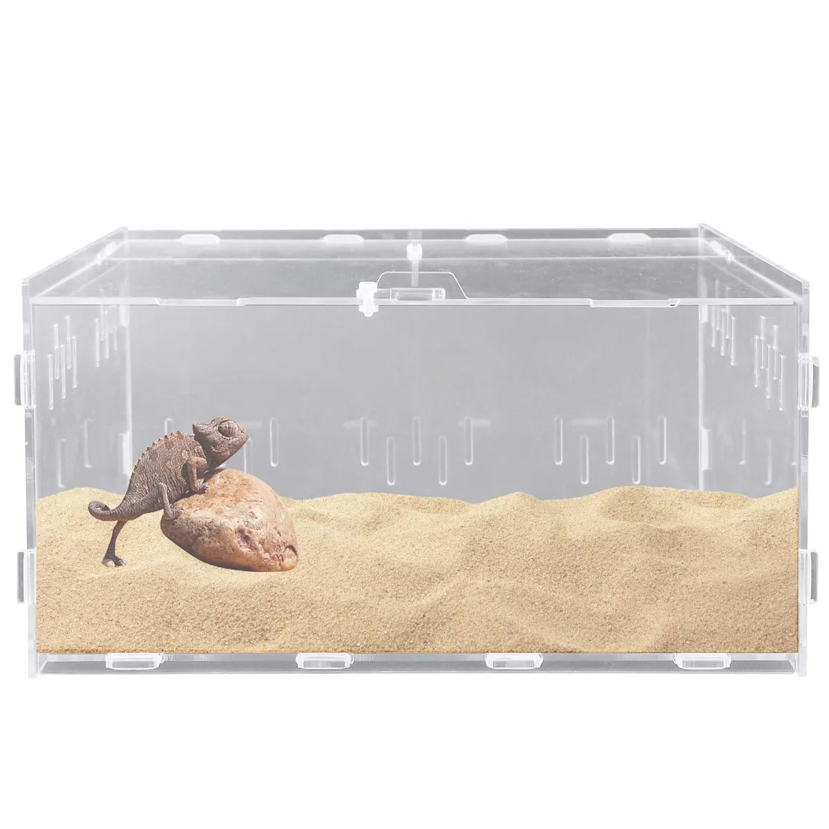 Reptil - Scatola di alimentazione in acrilico, 30 x 20 x 15 cm, per terrario, per insetti e rettili, terrario, per tartarughe d'acqua, ragni, criceti, granchio eremita, lucertola