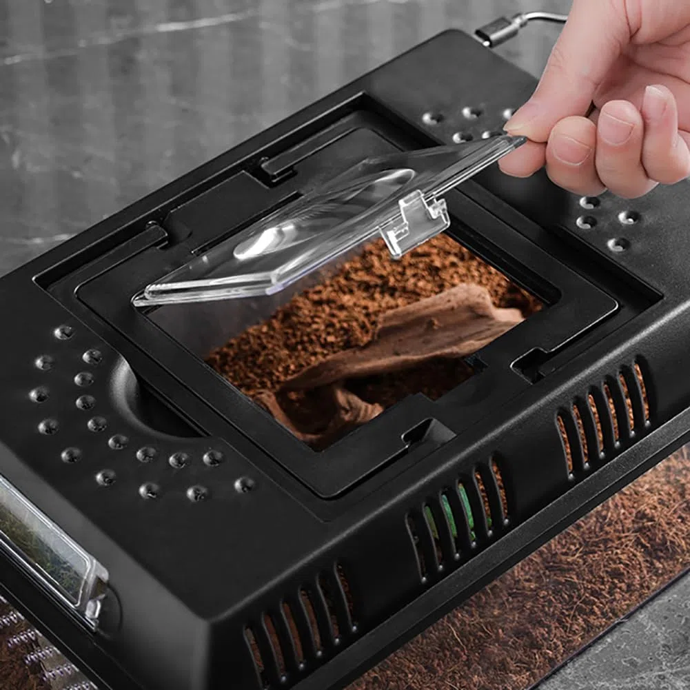 Terrario per Rettili Design Luce Incorporata - Scatola di Alimentazione Portatile Rettile 31,5 x 22 x 12,5 cm - Teca per Rettili - Contenitore Multiuso per Rettili, Anfibi, Topi e Insetti