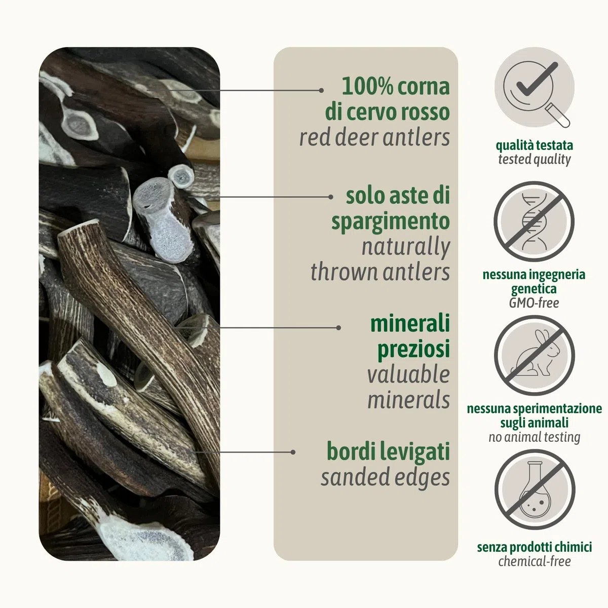 ChronoBalance-XXL Corno di Cervo per Cani, Confezione da 1, 100% Naturale, Pezzi Interi, Cura Dentale, Giocattolo per Cani, Ricco di Minerali e Nutrienti, Lunga Durata