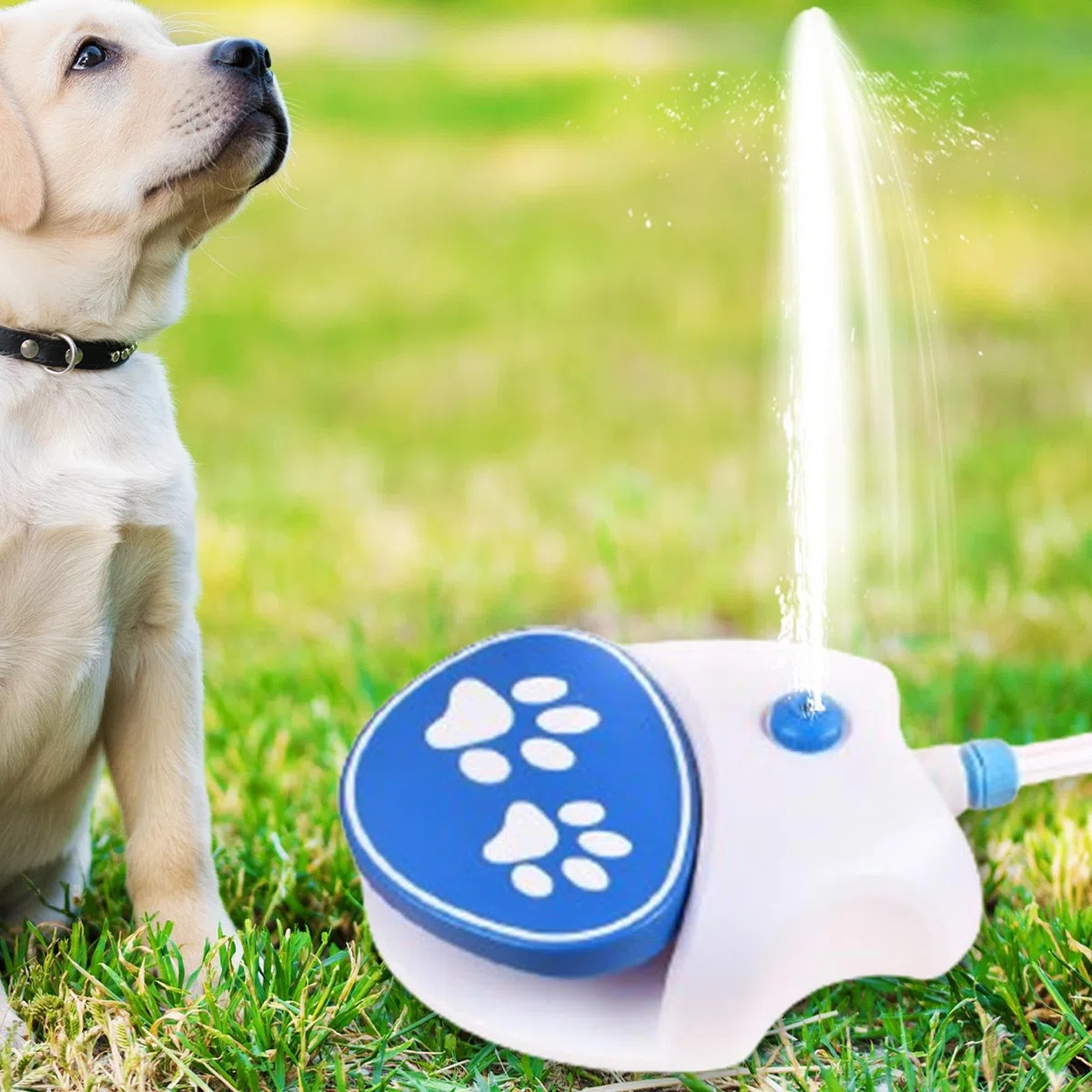 Pet Sprinkler – Dispenser interattivo per giochi d'acqua per cani | Fontana a pedale facile da collegare, giocattolo di idratazione per cortile esterno, gioco d'acqua di raffreddamento, fornitura di