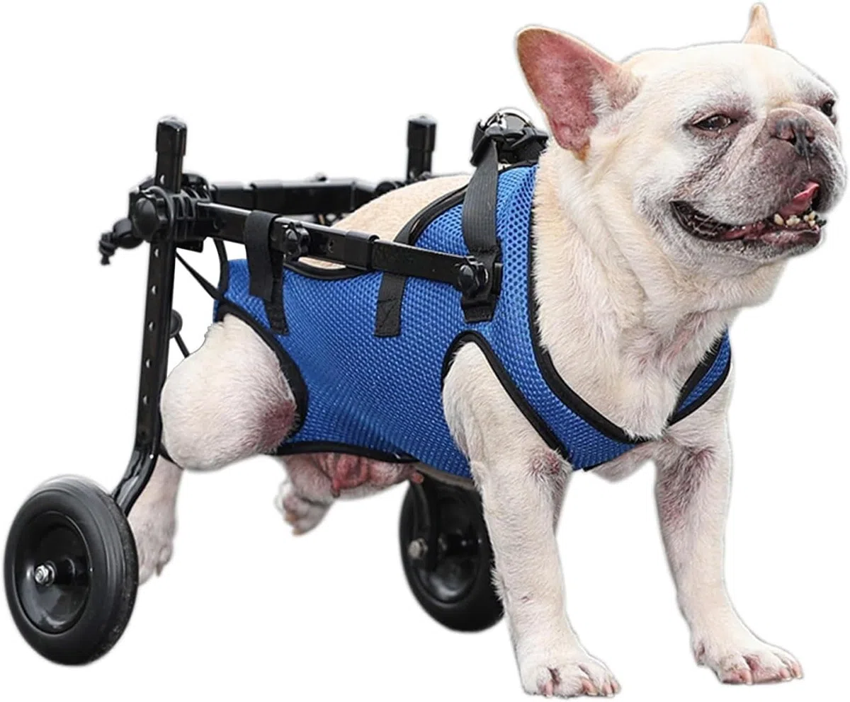 Carrozzina Per Cani Per Zampe Posteriori, Ausili Per La Mobilità Per Animali Domestici Disabili, Tutore Per Zampe Di Cani E Supporto Per Fianchi(Medium)