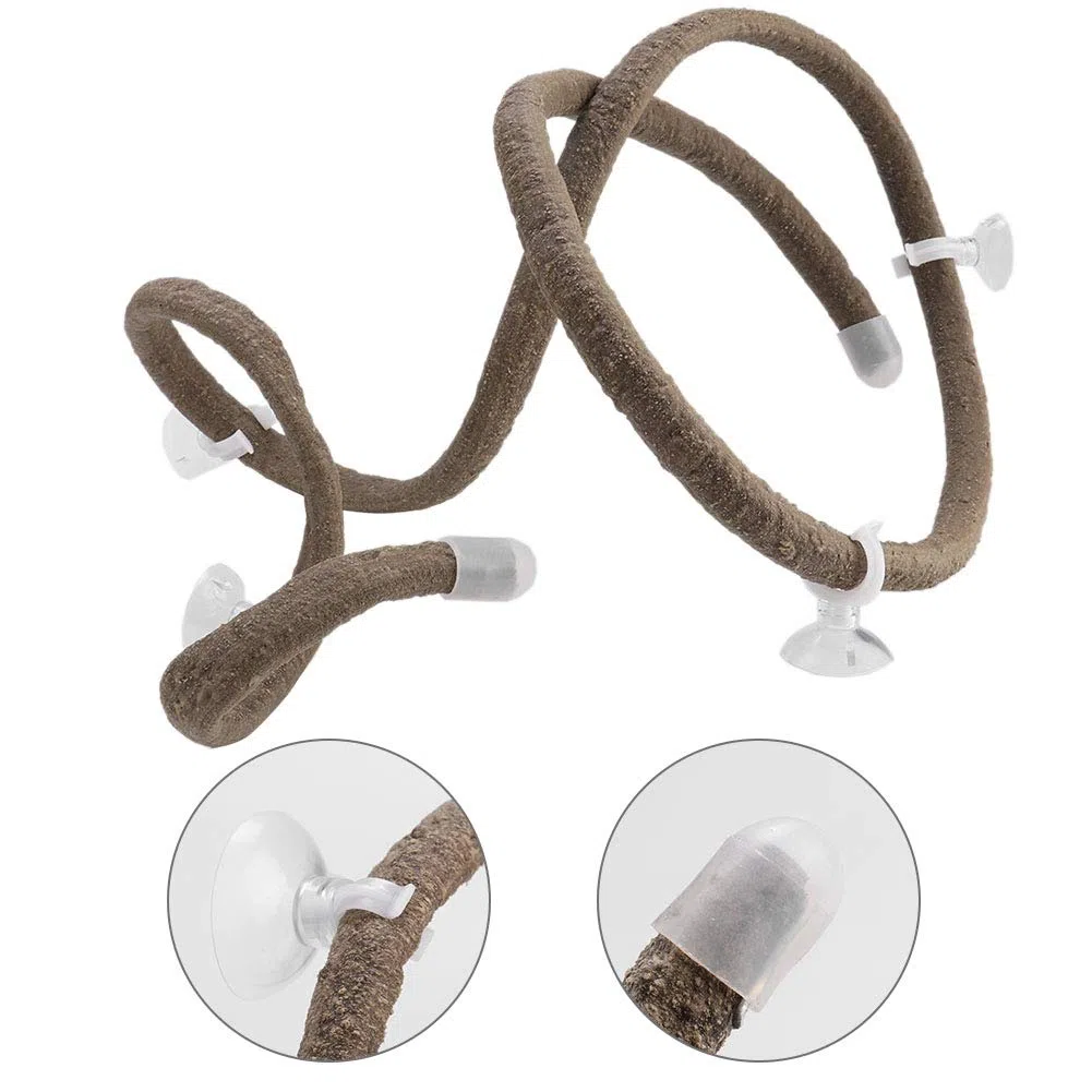 DOACT Vivaio Rami per Serpenti Vite Rettili Rampicanti Ramo Rampicante Pietypet Serpente di Mais Accessori per Serbatoi Rettili Crawler Box Foresta Pluviale Paesaggio (L)