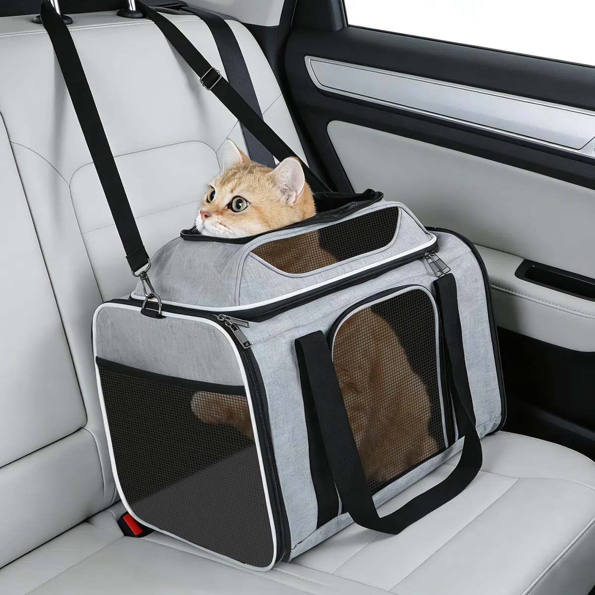 Trasportino per gatti,Trasportino espandibile superiore,Traspirante e pieghevole Borsa per il trasporto per gatti,guinzaglio interno,per Gatto e Cane fino a 6 kg,per Viaggi Lunghi (Grigio)