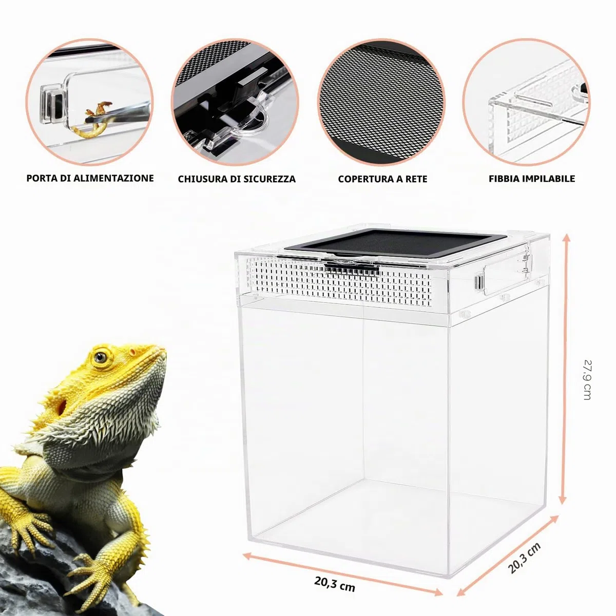 set di terrari alti (PC), 20 x 20 x 28cm Carro armato per rettili con schermo per porte scorrevoli superiore Terrari per rettili per serpente, rana, insetto, tarantola, paguro, ragno saltatore, iguana