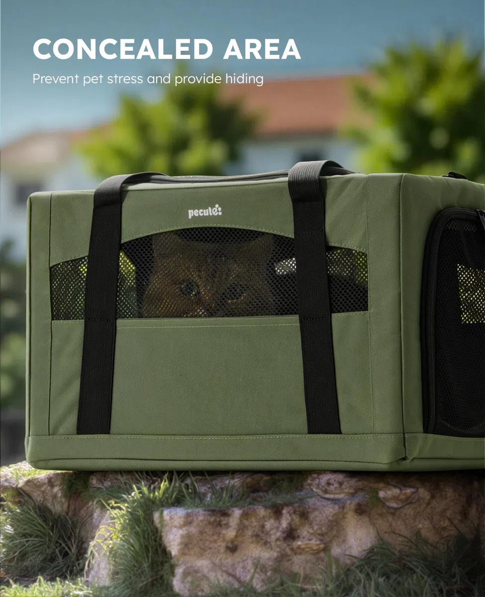 Pecute Trasportino Gatto, Stabile Zaino per Gatti, Traspirante e Portatile Trasportino per Cani, per Gatti Sotto i 5KG, Adatto per Viaggi e Gite, Verde