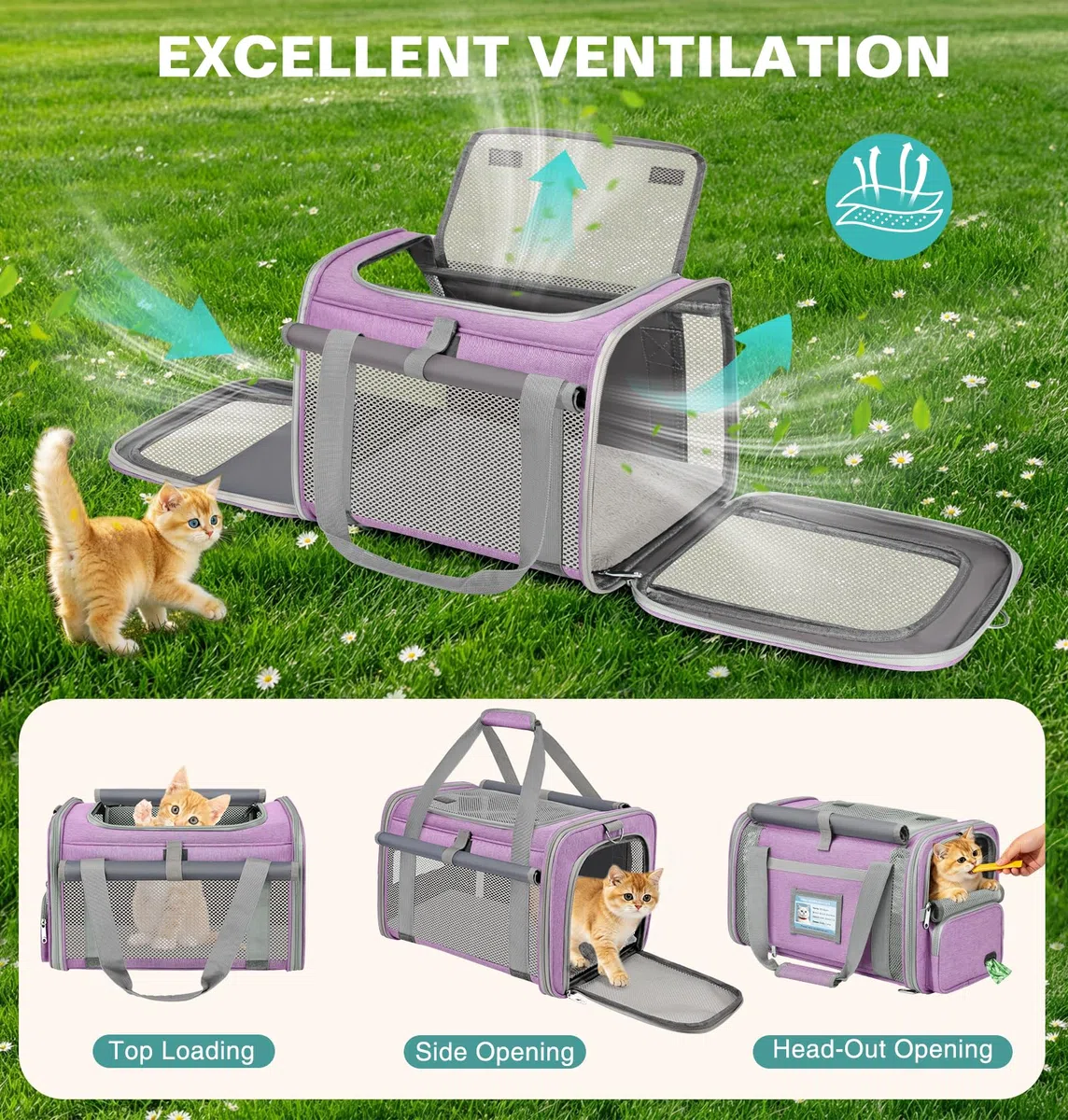 Trasportino Gatto Approvato Aereo Trasportino per Cani Pieghevole Borsa da Viaggio per Animali Domestici Portabile Borsa per Gatti con Tessuto Antigraffio e Cuscino Lavabile (Viola)