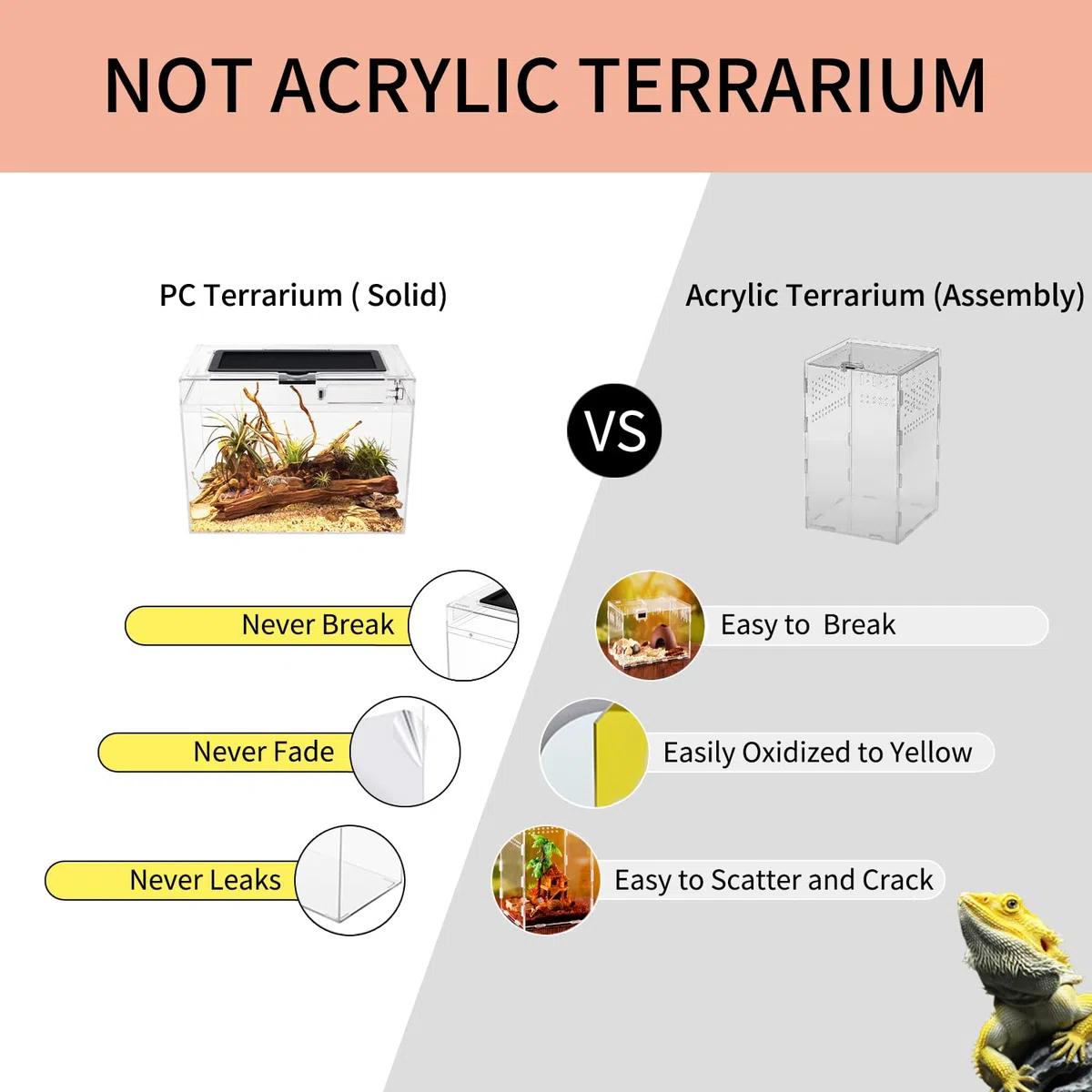 Terrario Kit PC Reptile Growth 12" x 7" x 9", visivamente accattivante terrario rettili per Geco leopardino, Drago barbuto, Ragno, lumaca, insetto, tarantola, serpente