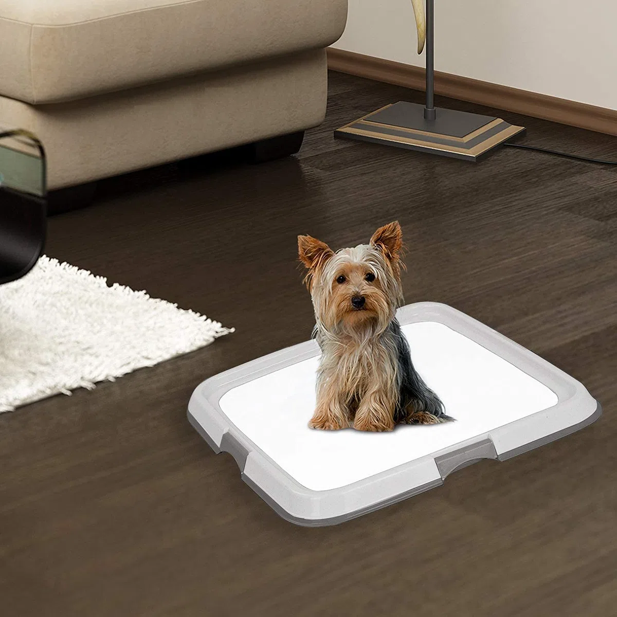 PAWISE Vassoio per addestramento per WC per cani da interno, supporto portatile per pipì per animali domestici, vassoio per lettiera per gatti , 49 x 36 cm