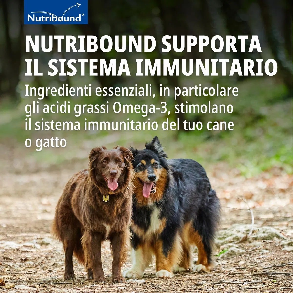 Virbac Nutribound Cane 3 X 150 Ml - 140 g