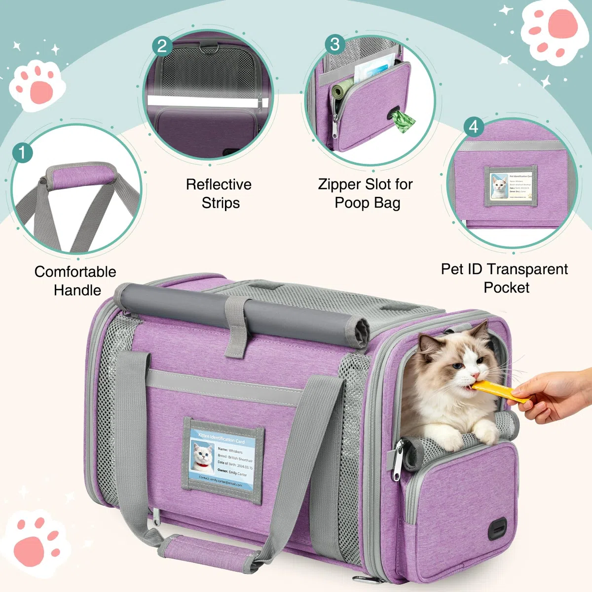 Trasportino Gatto Approvato Aereo Trasportino per Cani Pieghevole Borsa da Viaggio per Animali Domestici Portabile Borsa per Gatti con Tessuto Antigraffio e Cuscino Lavabile (Viola)