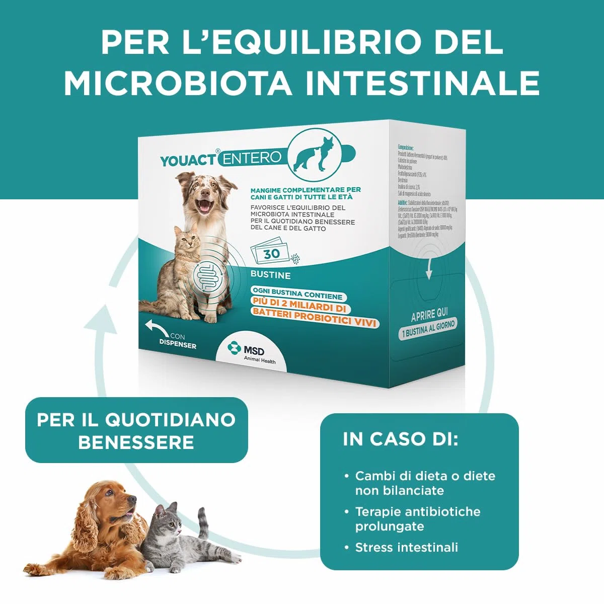 Entero 30 Bustine - Mangime Complementare per Favorire L'Equilibrio del Microbiota Intestinale E per Il Quotidiano Benessere. Fermenti Lattici Cane E Gatto.