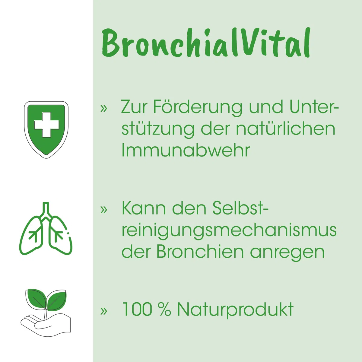cdVet Natural Products CoughVet BronchialVital 250 ml - Cane - Supporta la Funzione respiratoria Superiore e Le Condizioni respiratorie - meccanismo autopulente della Bronchia - Difesa immunitaria -