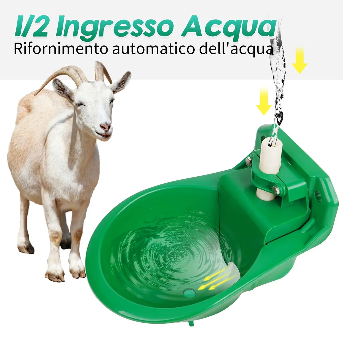 Abbeveratoi Automatici per Pecore, Capre, Cavalli e Mangiatoie per Pascoli di Bestiame con Fori di Drenaggio