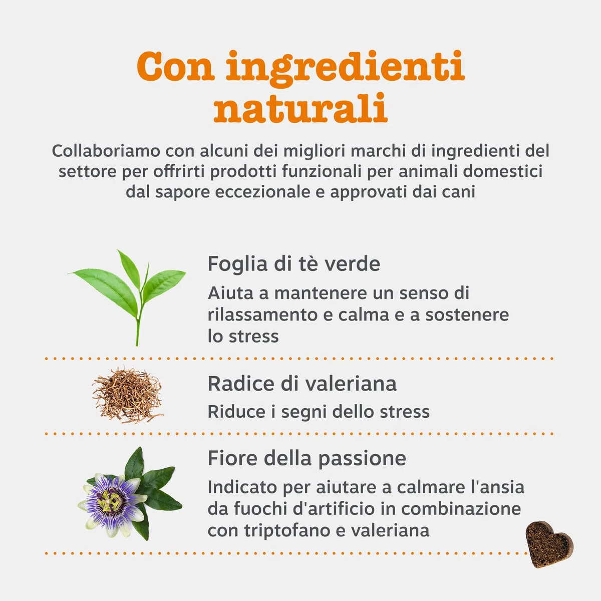 Zesty Paws Calming per Cani – Supporto per Ansia da Separazione, Stress e Iperattività – Favorisce Relax e Benessere – con Ashwagandha e L-Triptofano – Uso Quotidiano – 90 Bocconcini