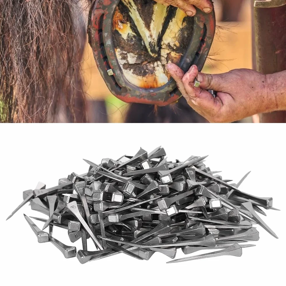 Nikou Chiodi a ferro di cavallo - 250Pcs Acciaio E4 Chiodo a ferro di cavallo stabile Accessori per attrezzi da cavallo 4.8CM Facile da usare