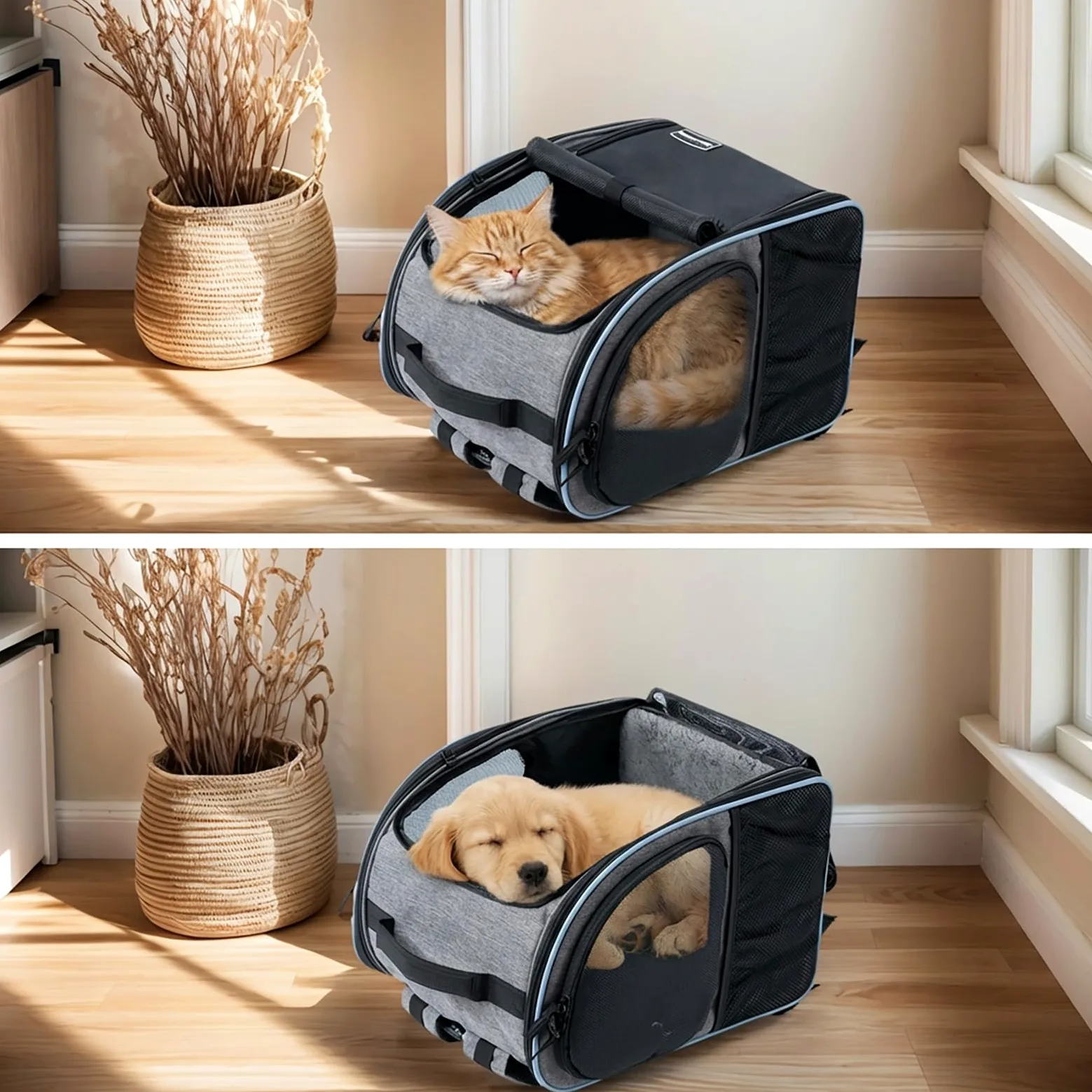 Zaino per gatti e cani fino a 8 kg, grande zaino espandibile per cani, zaino pieghevole per animali domestici, grigio