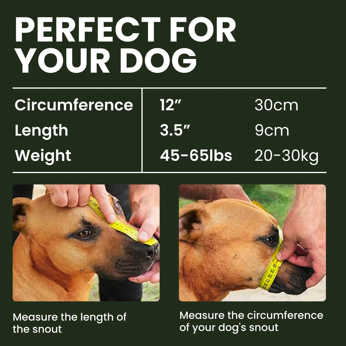 BRONZEDOG Museruola per cani in metallo, maschera per cani di taglia media e grande (taglia 4: Pitbull & Amstaff)